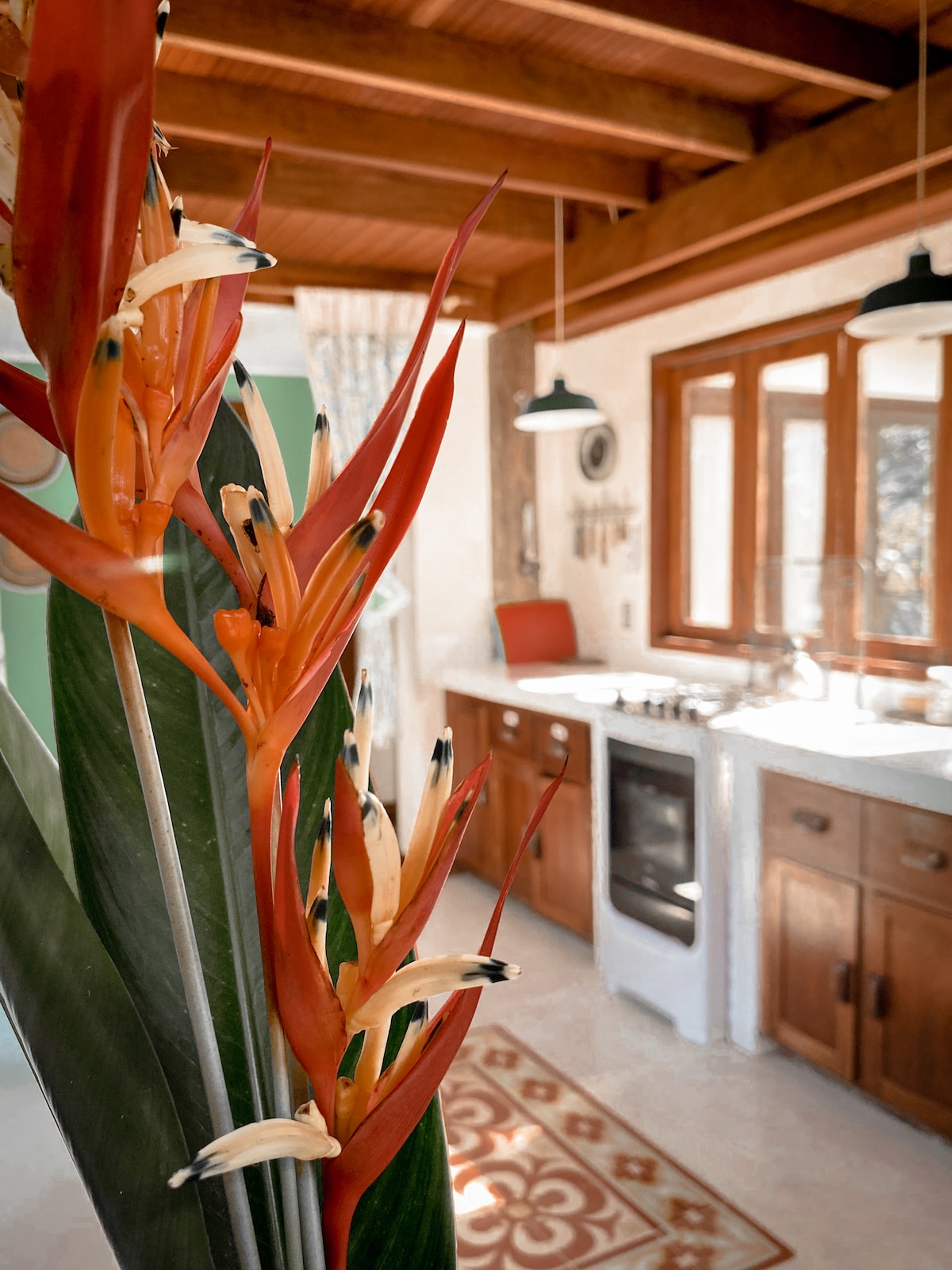 A vibrant display of tropical flowers stands in the foreground, adding a touch of nature to the scene. In the background, a well-equipped kitchen features wooden cabinetry, a gas stove, and a large window that invites natural light into the space.