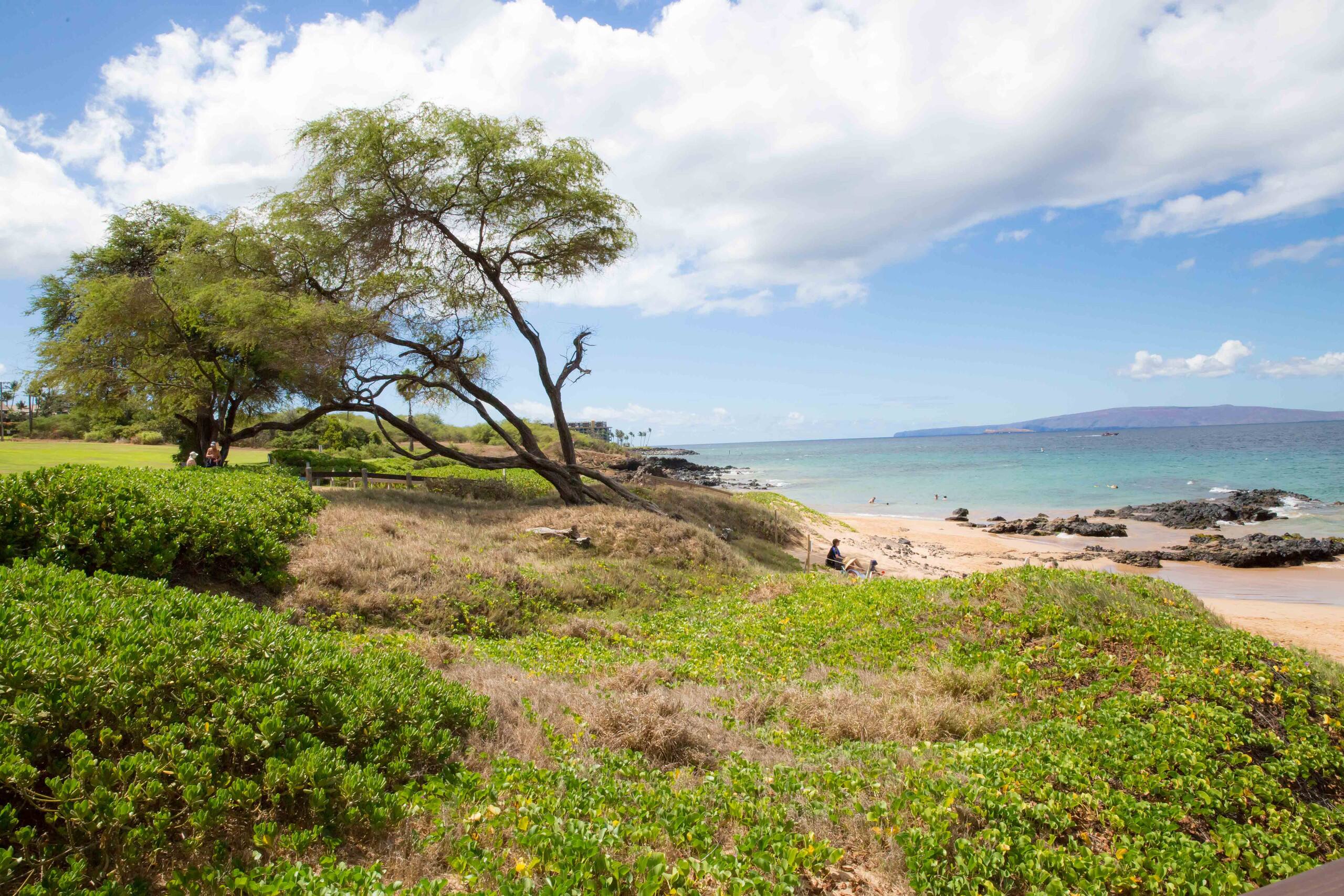 Condo in Kihei · ★4.0 · 1 bedroom · 2 beds · No bathroom - Image 6