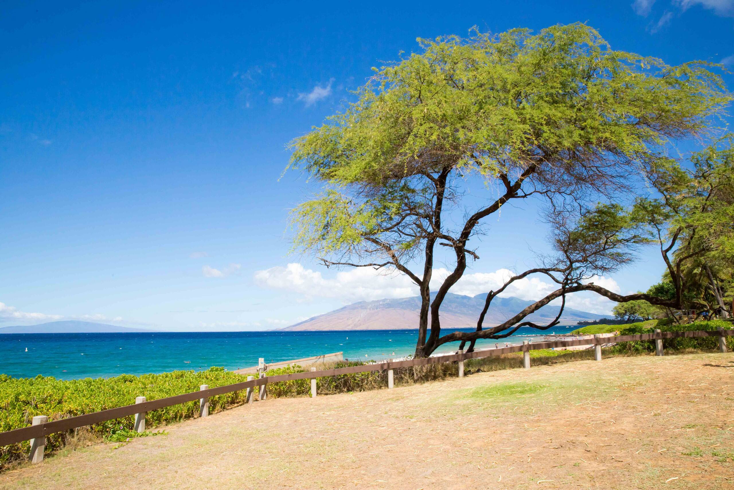 Condo in Kihei · ★4.0 · 1 bedroom · 2 beds · No bathroom - Image 5