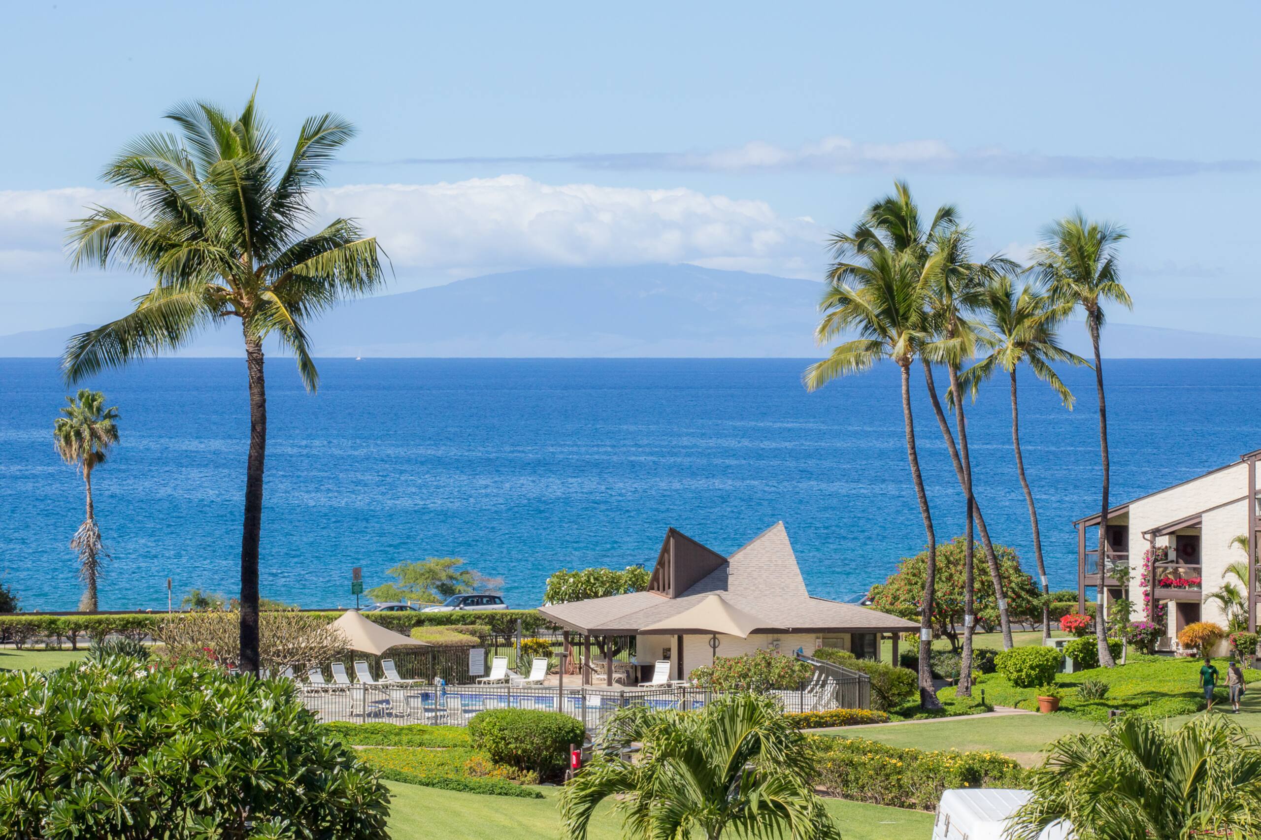 Condo in Kihei · ★4.8 · 1 bedroom · 2 beds · No bathroom - Image 1