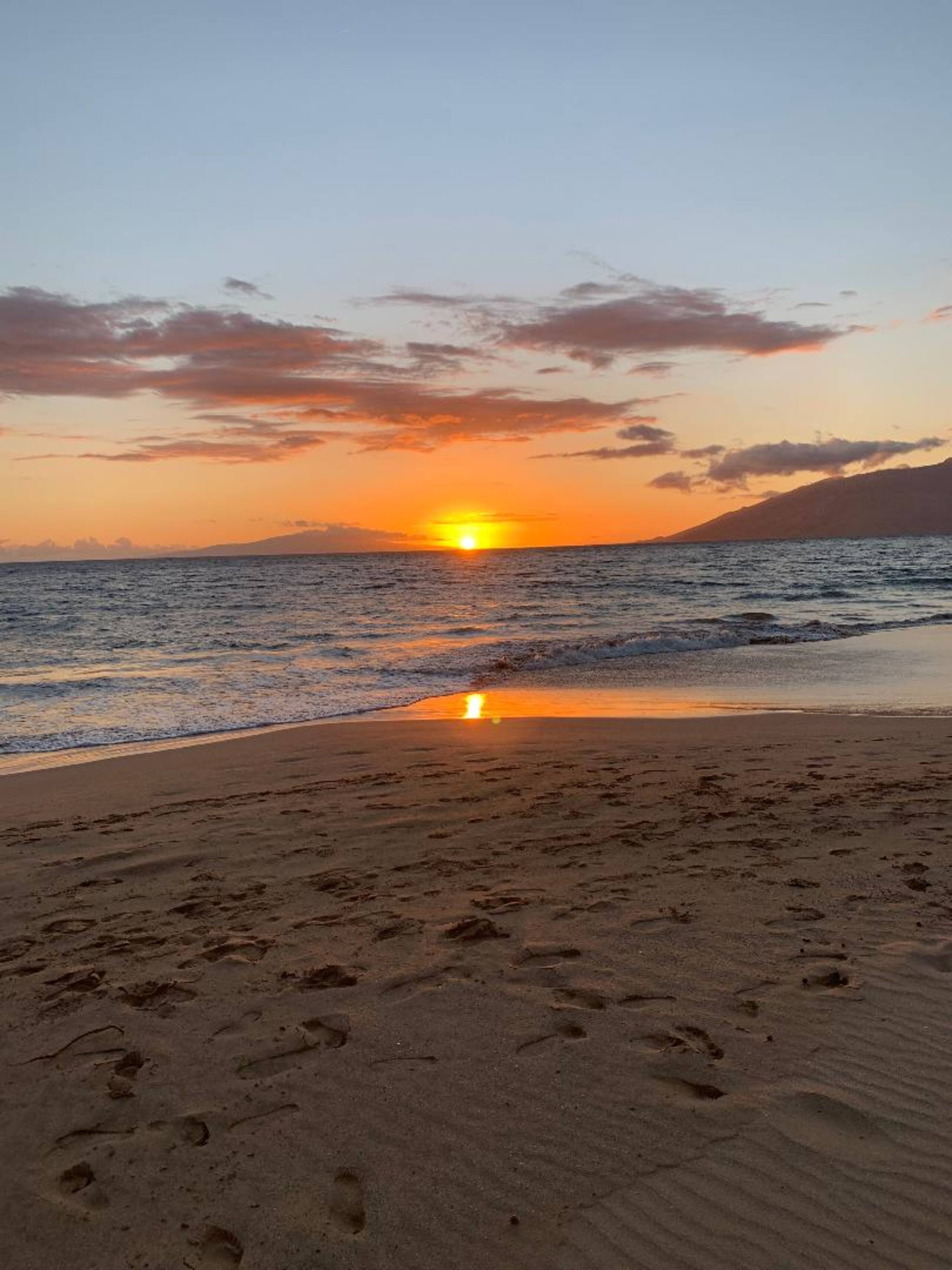 Condo in Kihei · ★4.6 · 1 bedroom · 1 bed · No bathroom - Image 35