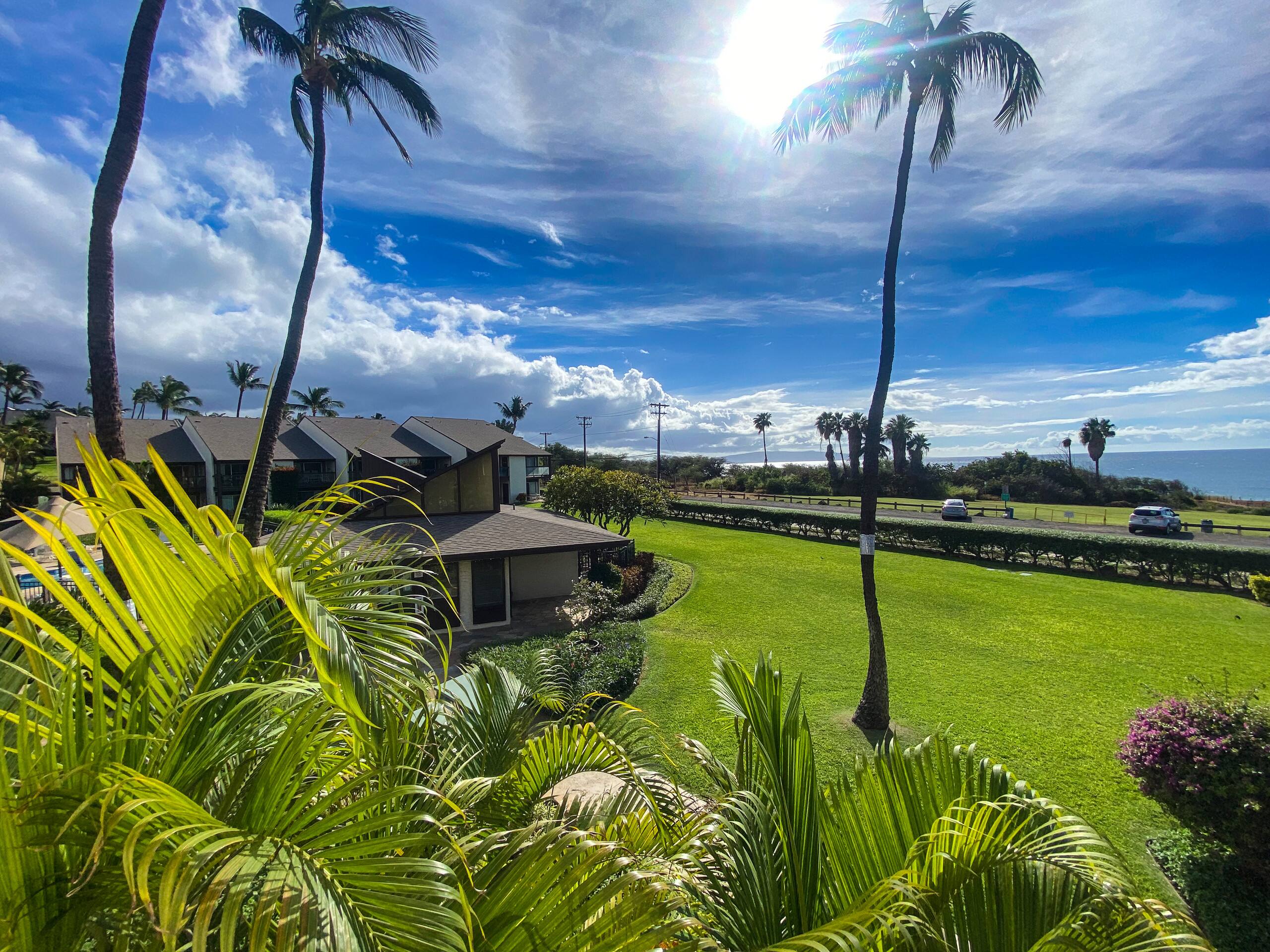 Condo in Kihei · ★4.6 · 1 bedroom · 1 bed · No bathroom - Image 24