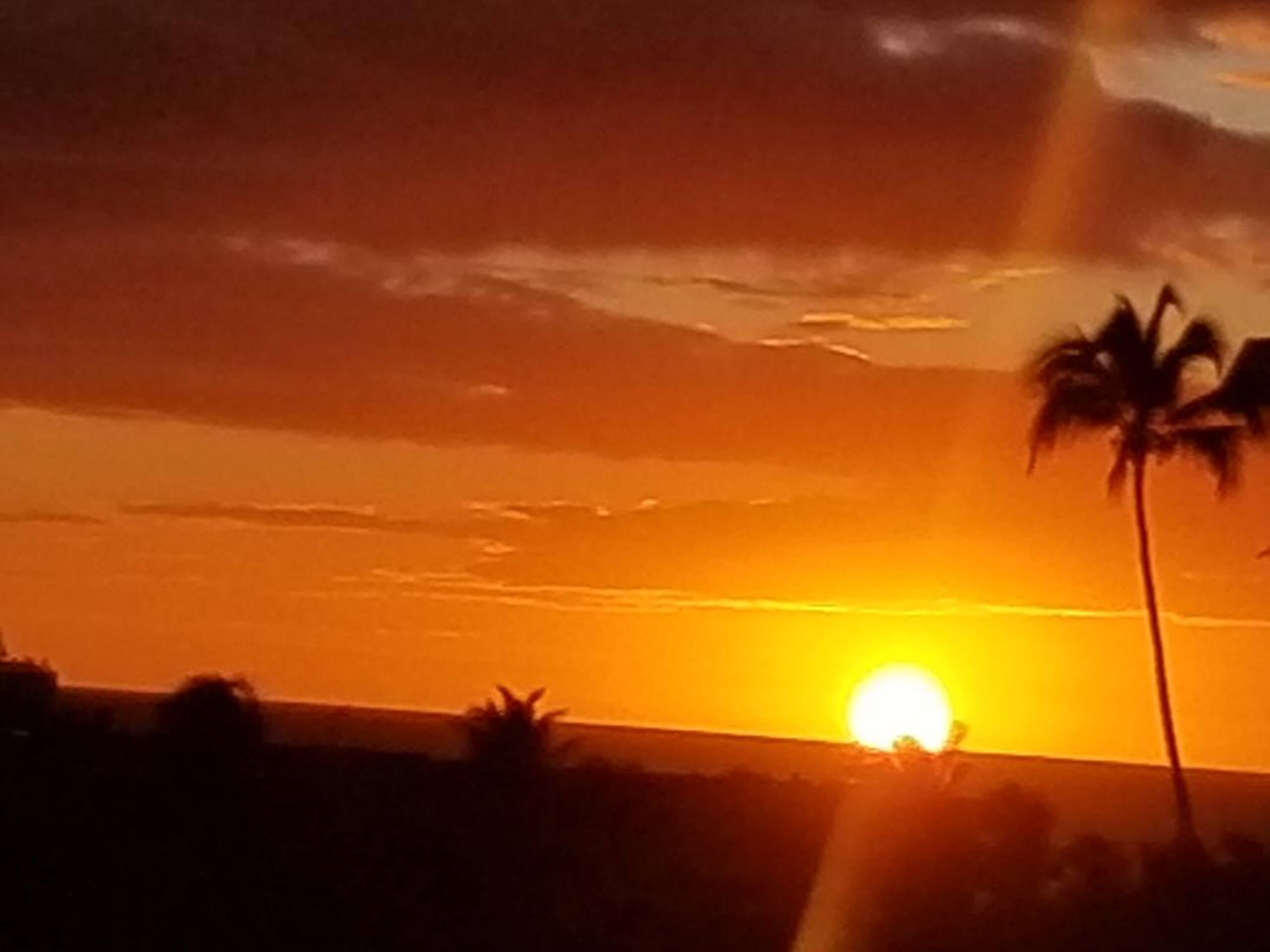 Condo in Kihei · ★4.5 · 1 bedroom · 2 beds · No bathroom - Image 37