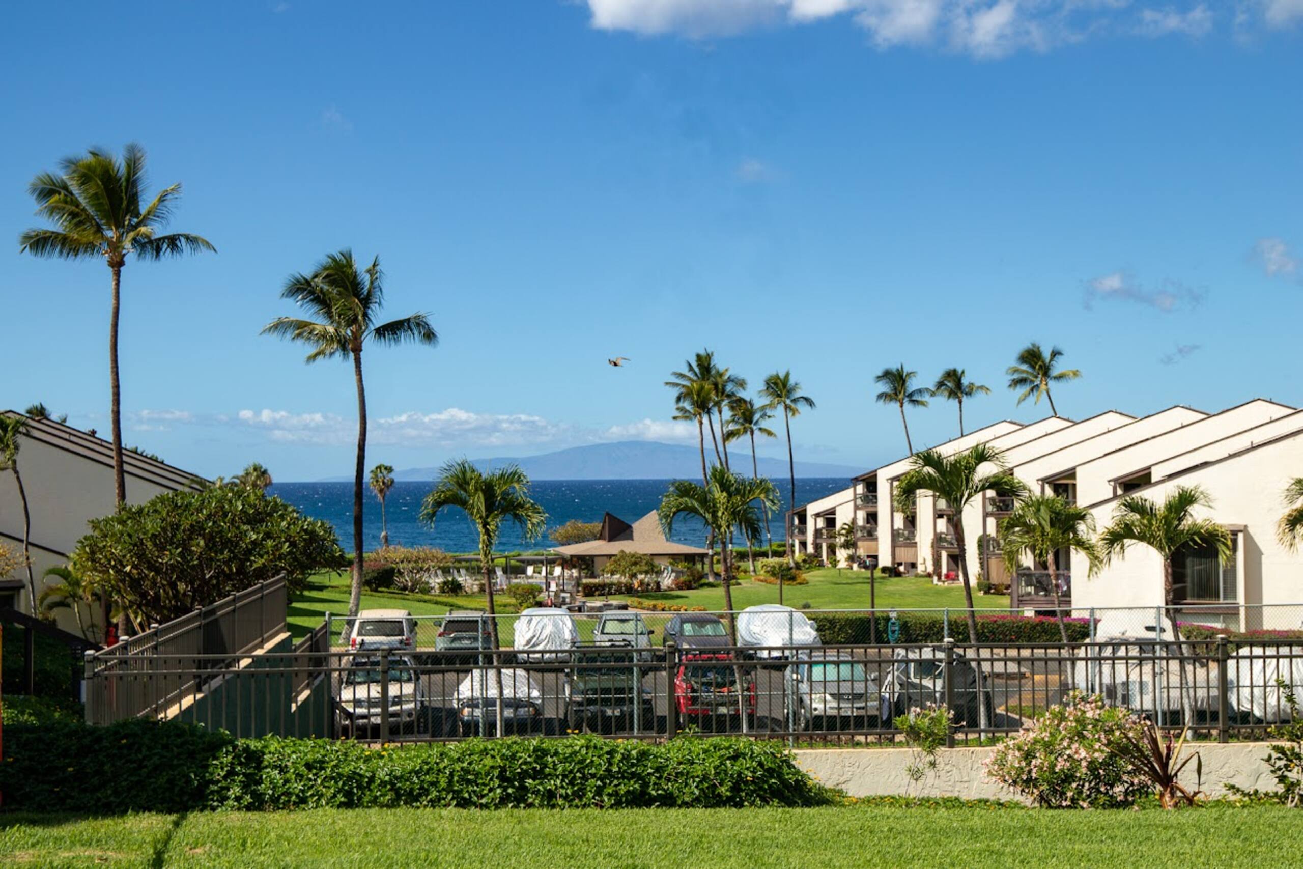 Condo in Kihei · ★5.0 · 1 bedroom · 2 beds · 1 bath - Image 24