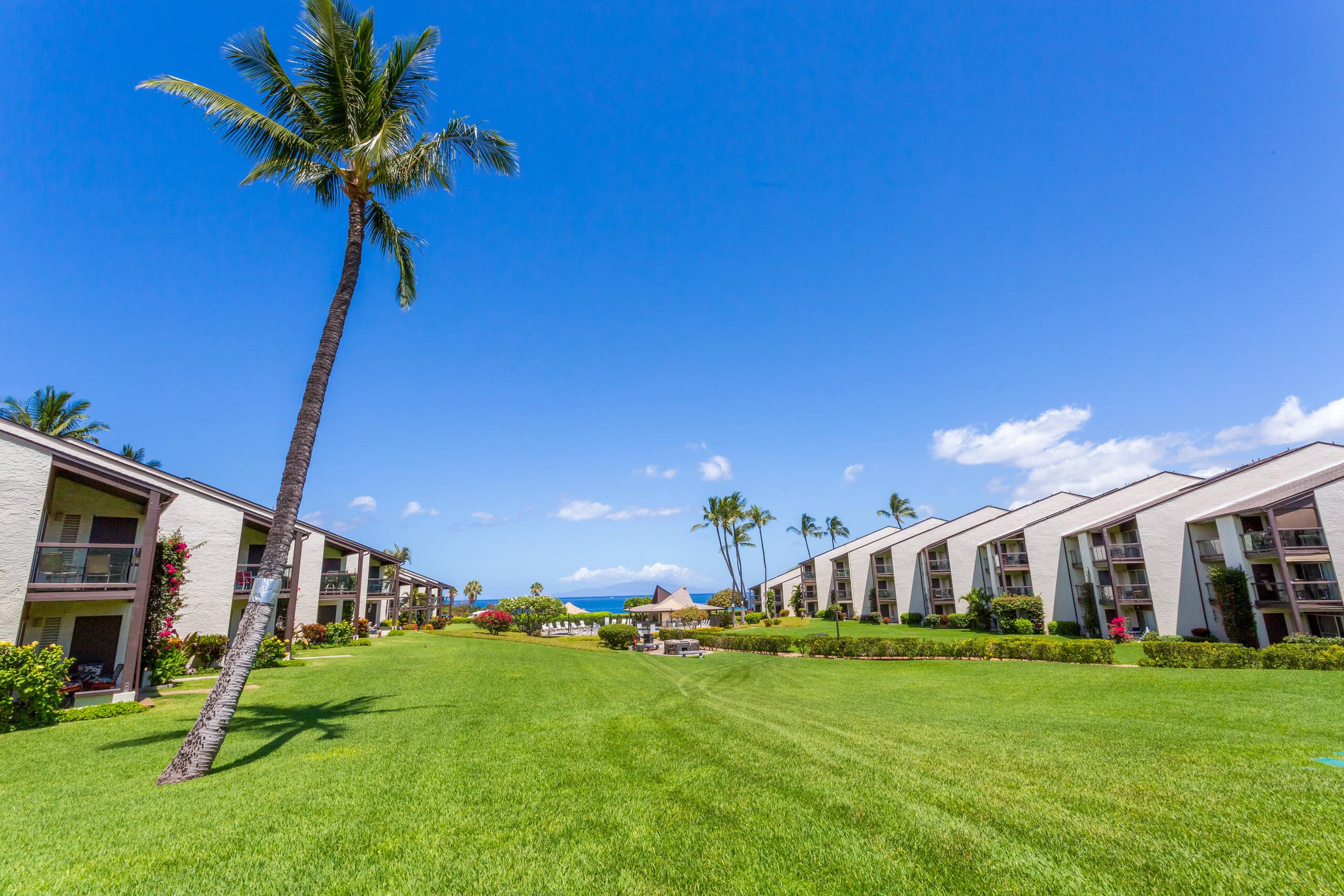 Condo in Kihei · ★4.67 · 1 bedroom · 2 beds · 1 bath - Image 32