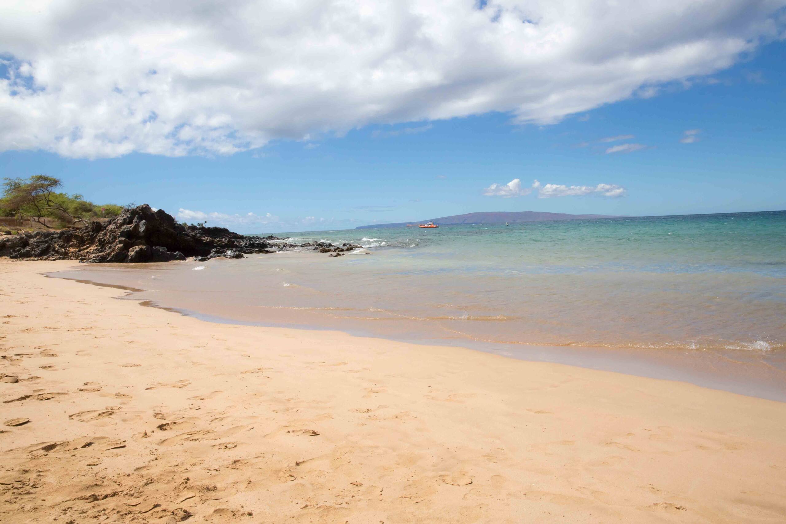 Condo in Kihei · ★4.5 · 1 bedroom · 2 beds · 1 bath - Image 21