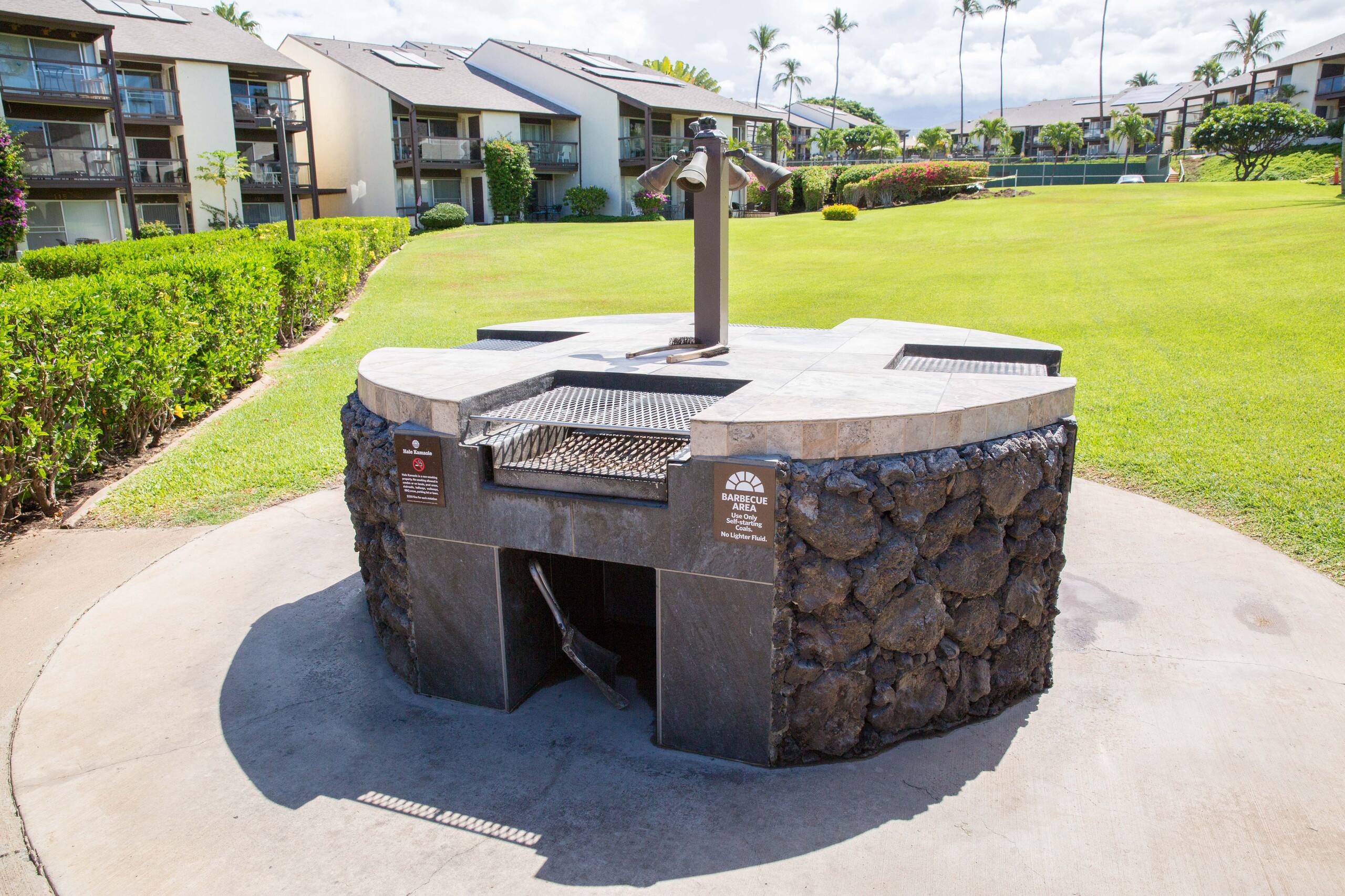 Condo in Kihei · ★4.89 · 2 bedrooms · 3 beds · No bathroom - Image 30