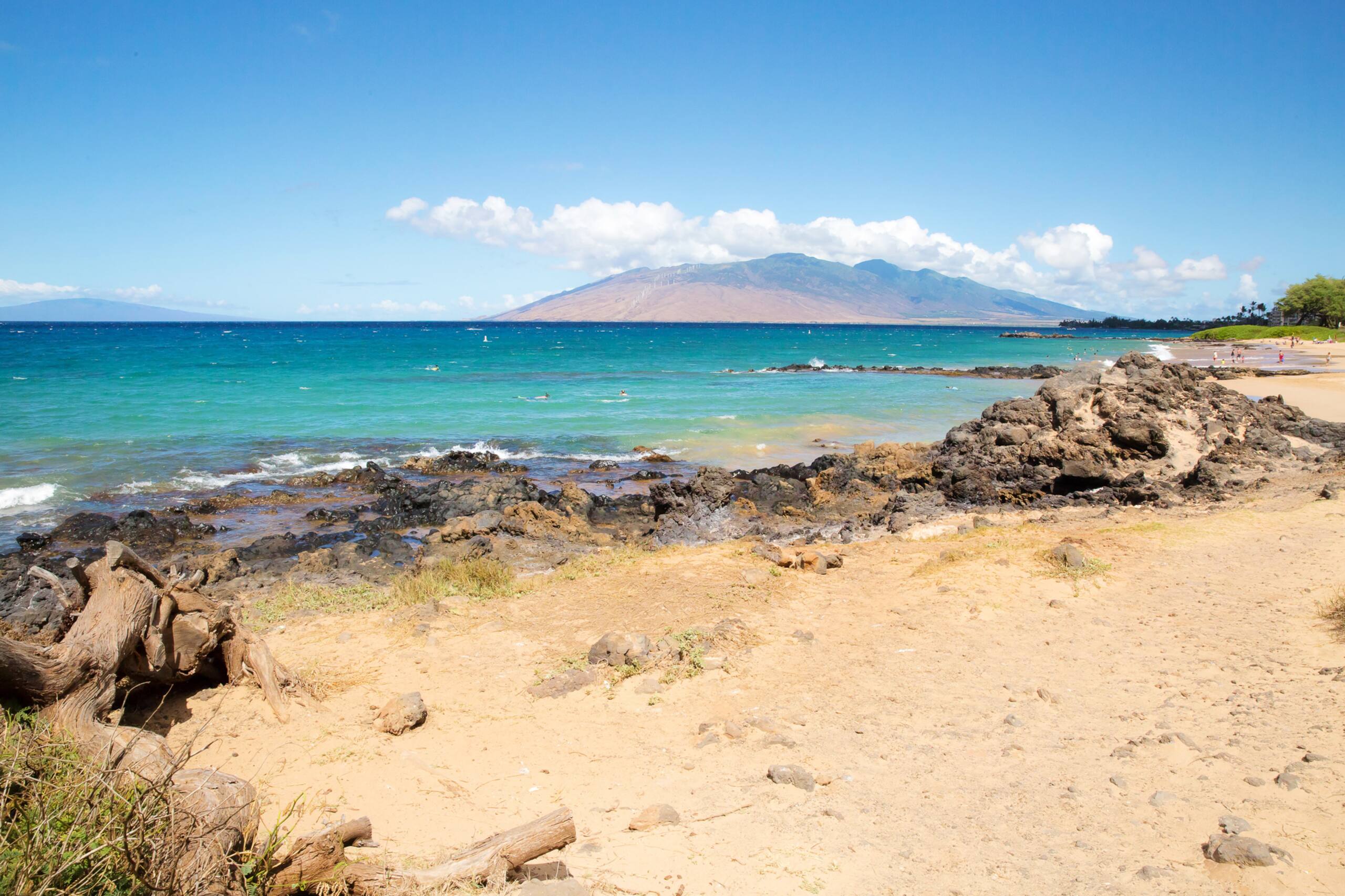 Condo in Kihei · ★4.89 · 2 bedrooms · 3 beds · No bathroom - Image 38