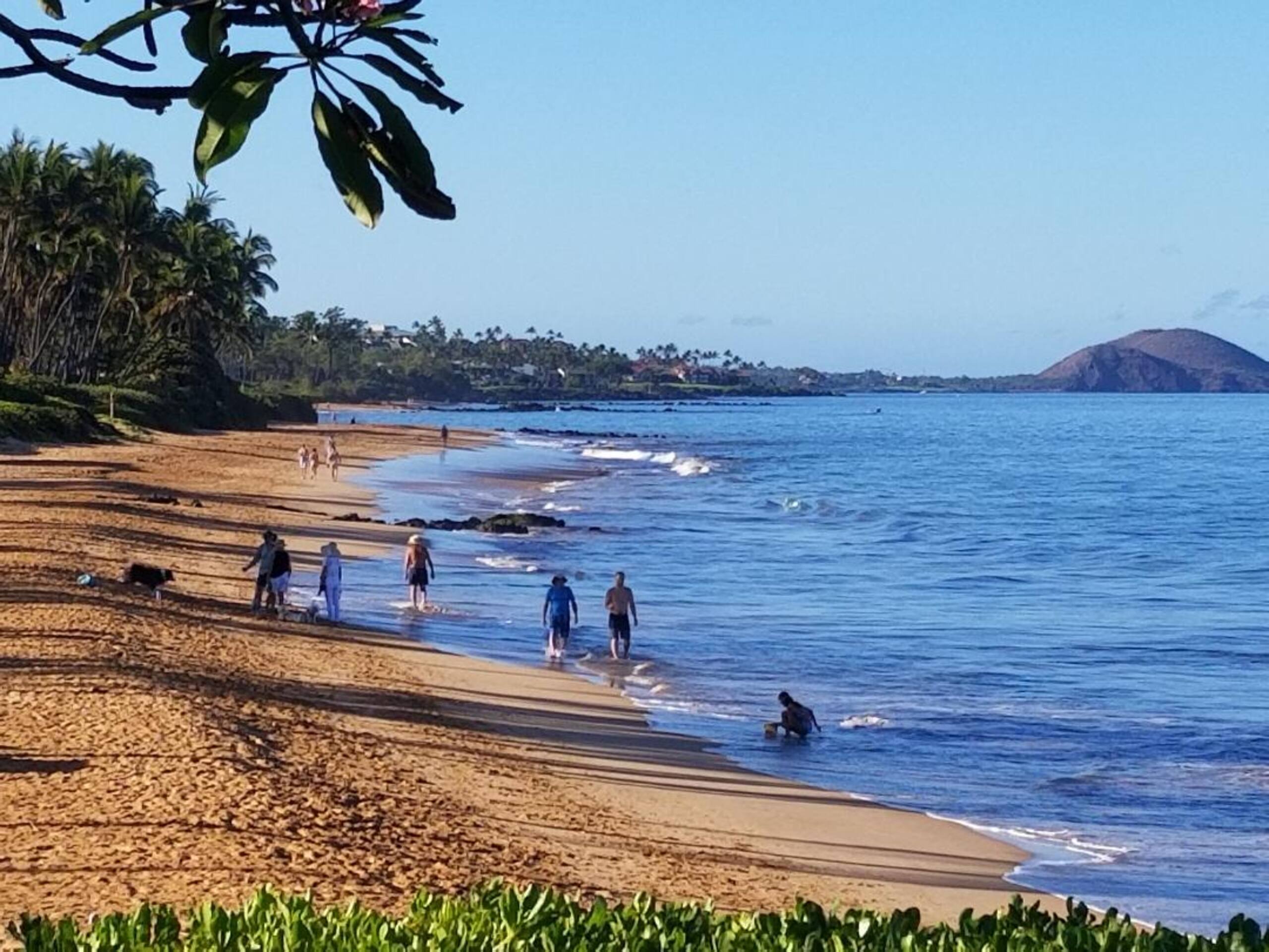 Condo in Kihei · ★4.57 · 2 bedrooms · 3 beds · 2 baths - Image 33
