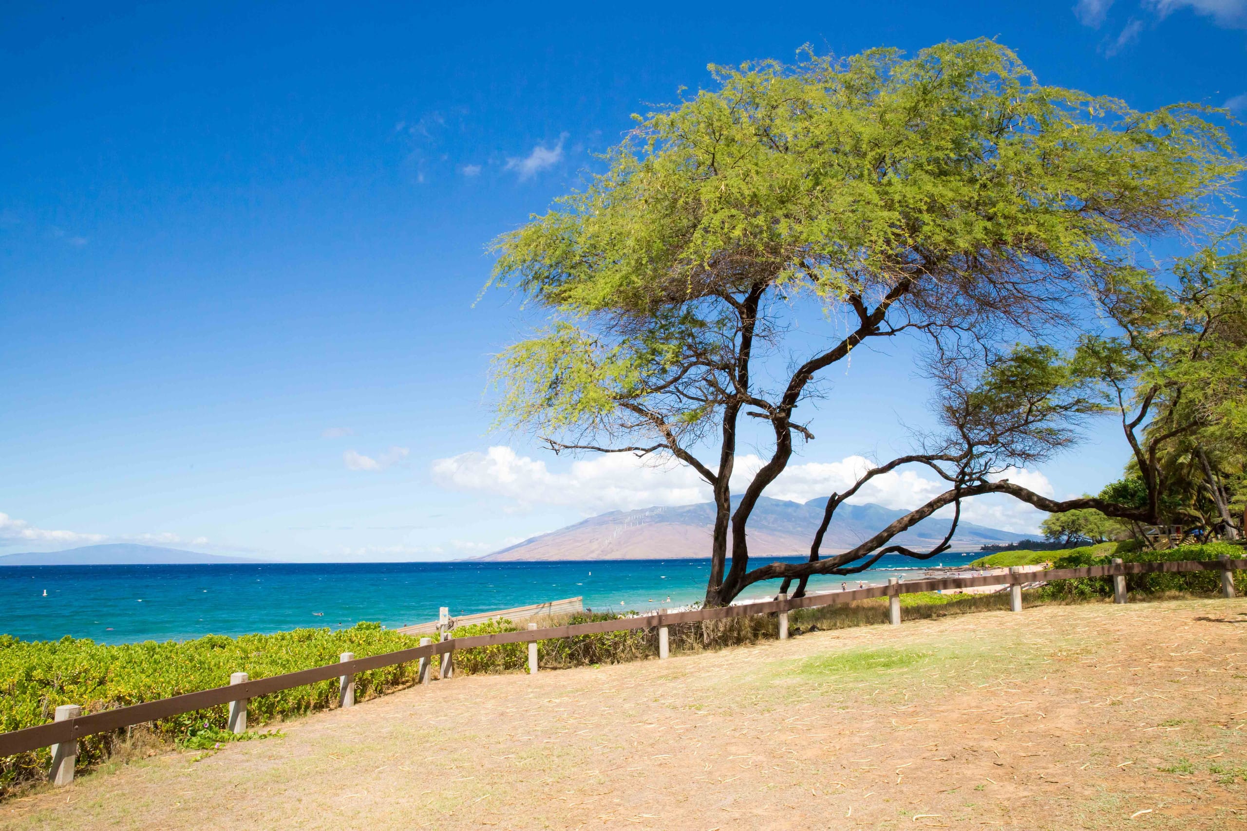 Condo in Kihei · ★4.68 · 2 bedrooms · 5 beds · No bathroom - Image 32