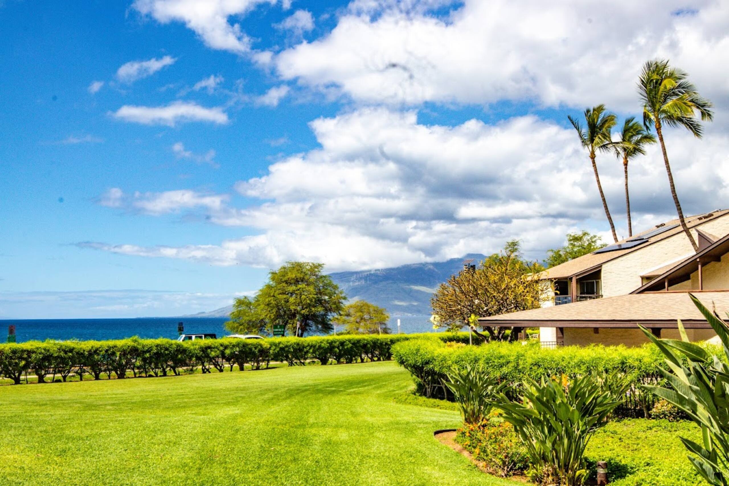 Condo in Kihei · ★5.0 · 1 bedroom · 1 bed · 1 bath - Image 3