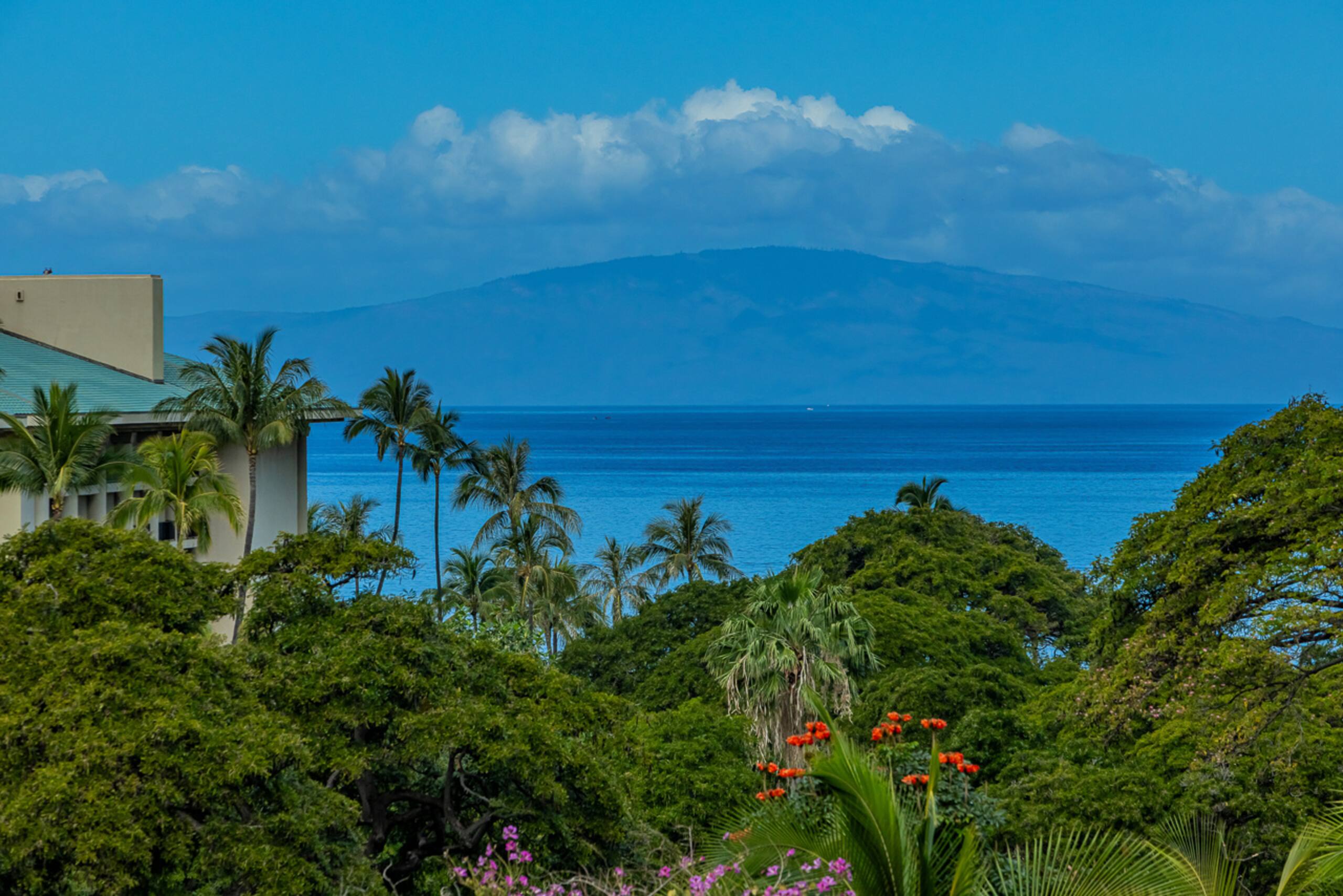 Townhouse in Kihei · ★4.97 · 3 bedrooms · 4 beds · 3.5 baths - Image 28