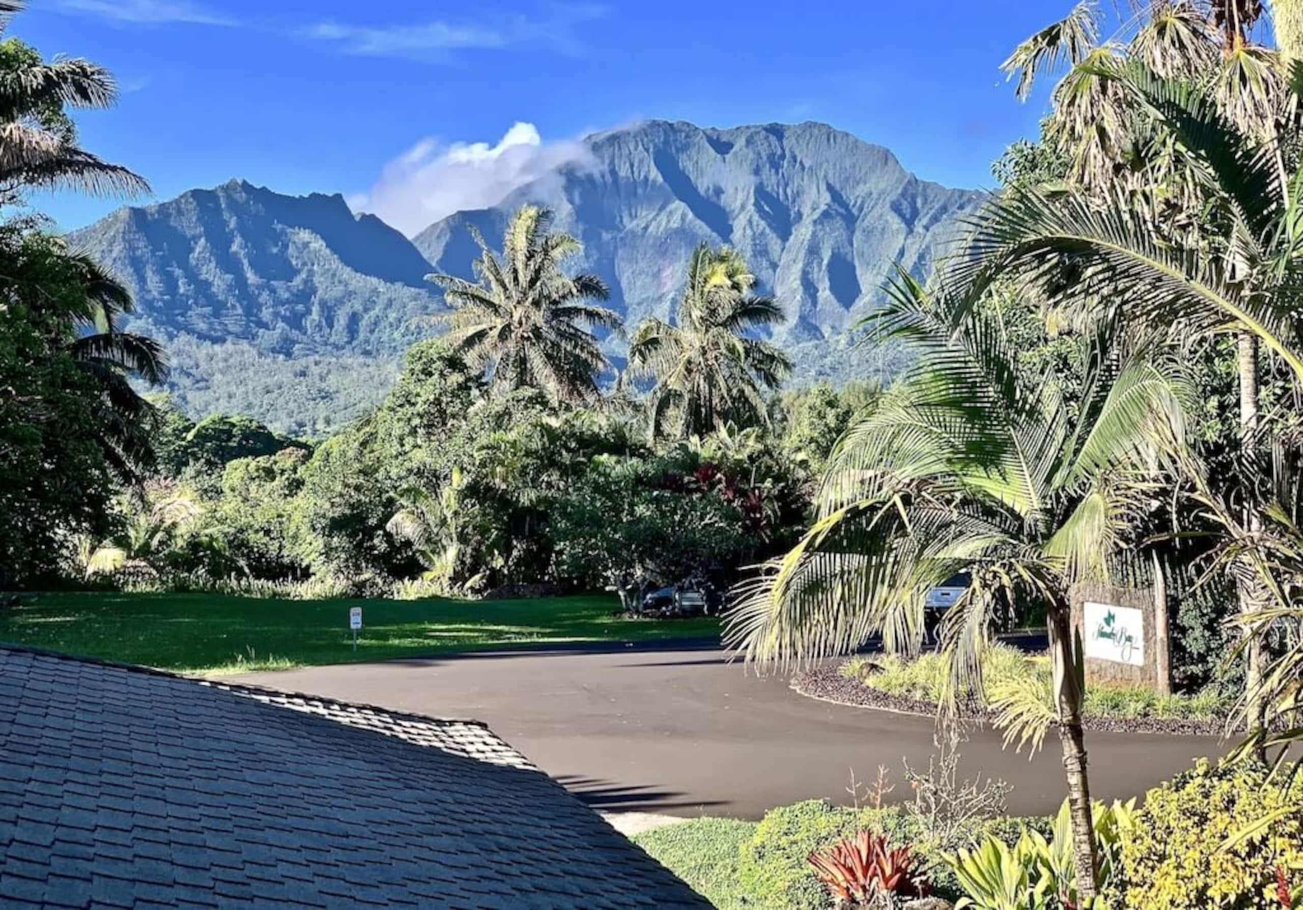 Home in Princeville · ★4.89 · 4 bedrooms · 5 beds · 4 private baths - Image 33