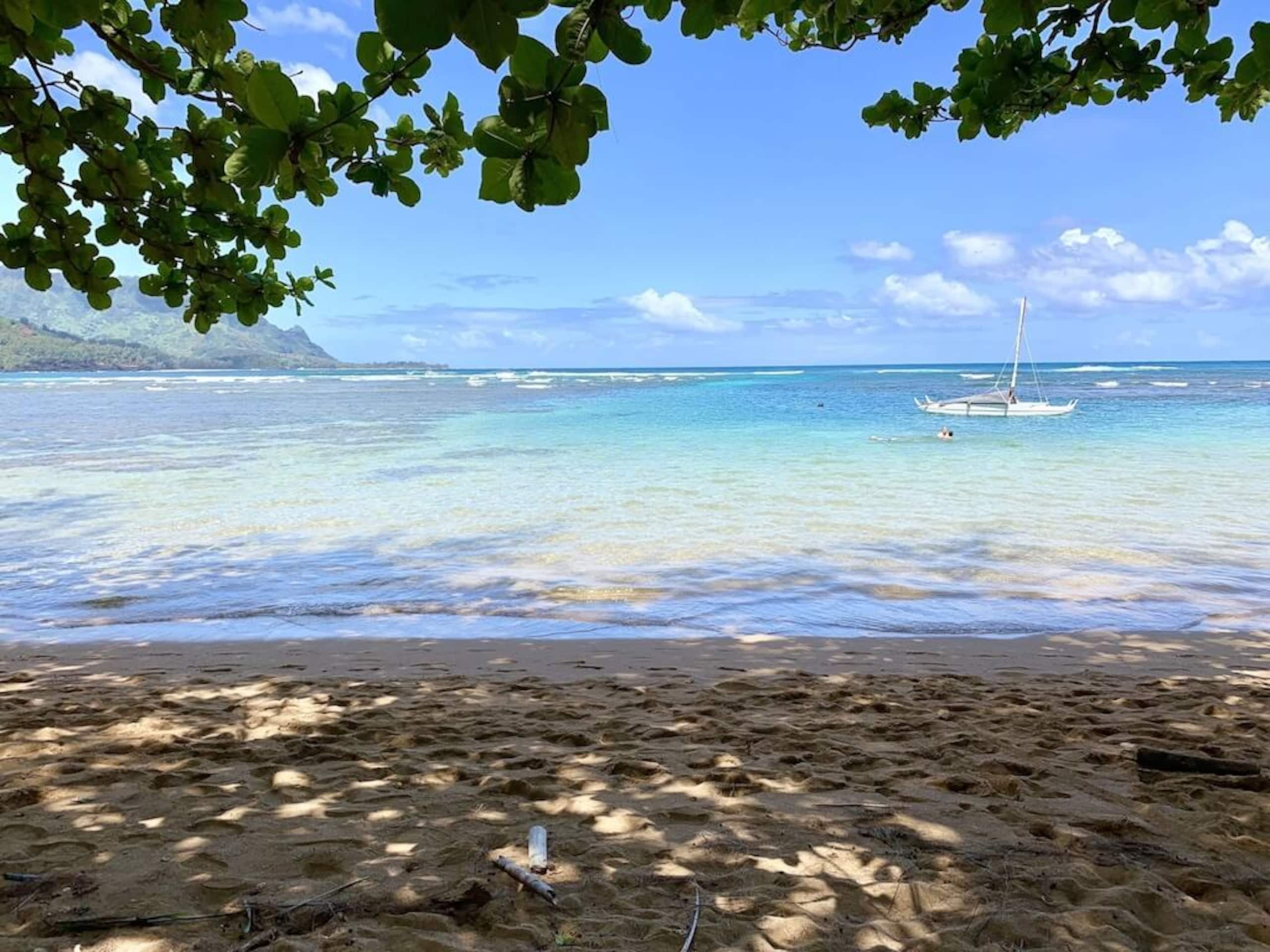 Home in Princeville · ★4.89 · 4 bedrooms · 5 beds · 4 private baths - Image 46