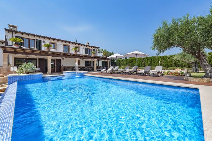 Morell Vell ref. Vp02