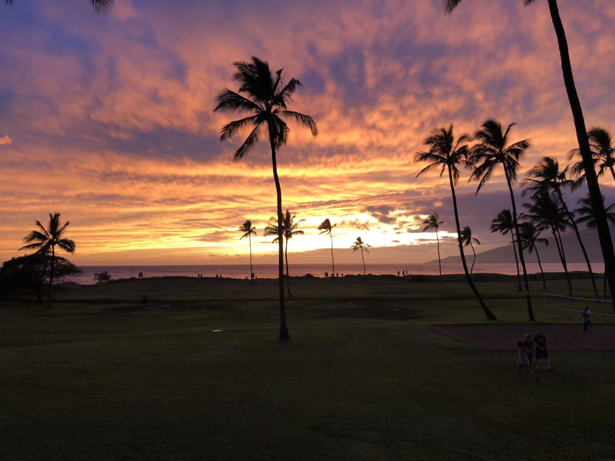 Condo in Kihei · ★4.73 · 2 bedrooms · 4 beds · 2 private baths - Image 43