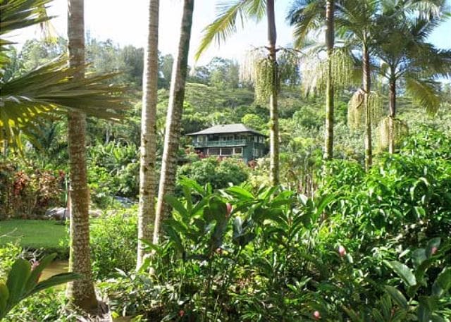 Lush tropical foliage surrounds a plantation-style home, creating a serene environment. Tall palm trees rise alongside vibrant green plants and colorful flowers, leading the eye toward the house nestled in the background. The natural setting suggests privacy and tranquility.
