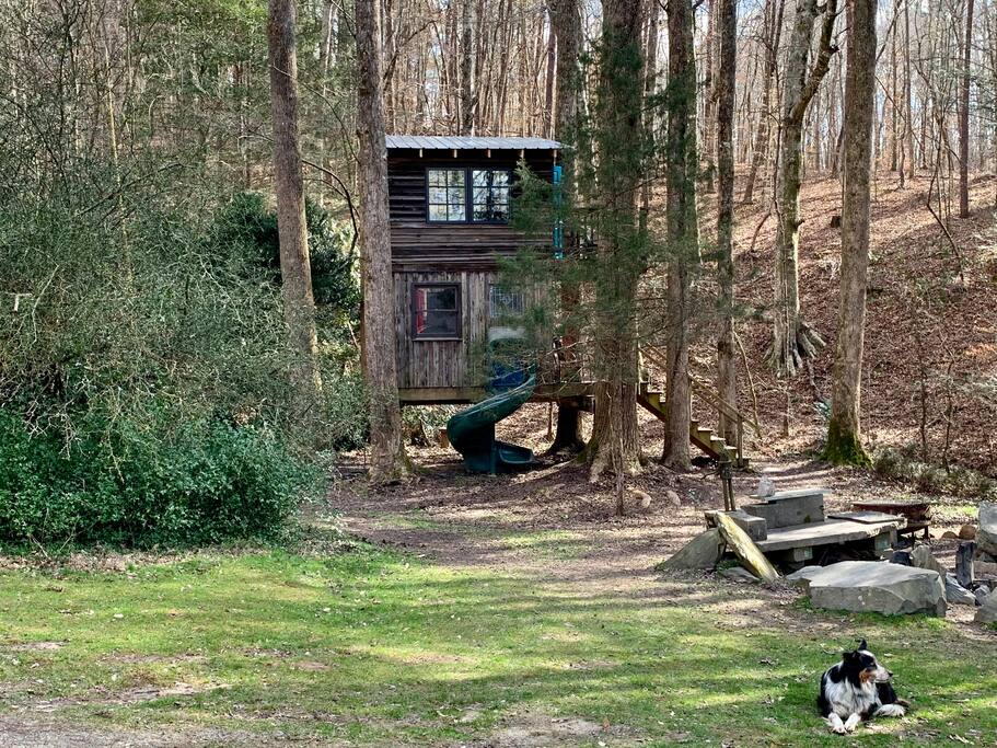 The Treehouse Sanctuary, constructed from natural materials, is nestled among tall trees. A spiral slide leads to the ground, surrounded by a grassy area. A fire pit and seating are positioned nearby, providing a social space outdoors. A dog rests peacefully on the grass.