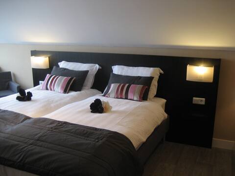 Luxurious Twin Room with Private Bathroom