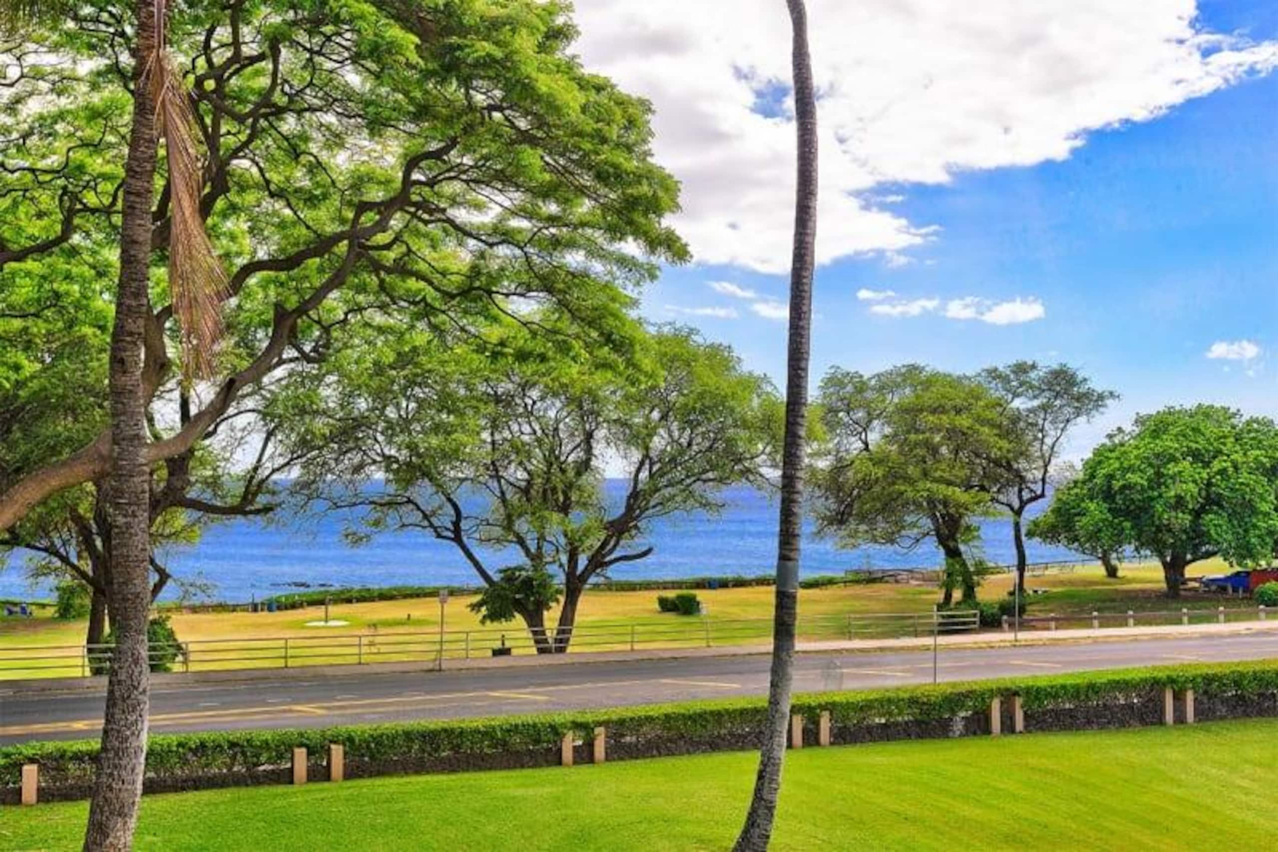 Condo in KIHEI · ★4.75 · Studio · No bathroom - Image 5