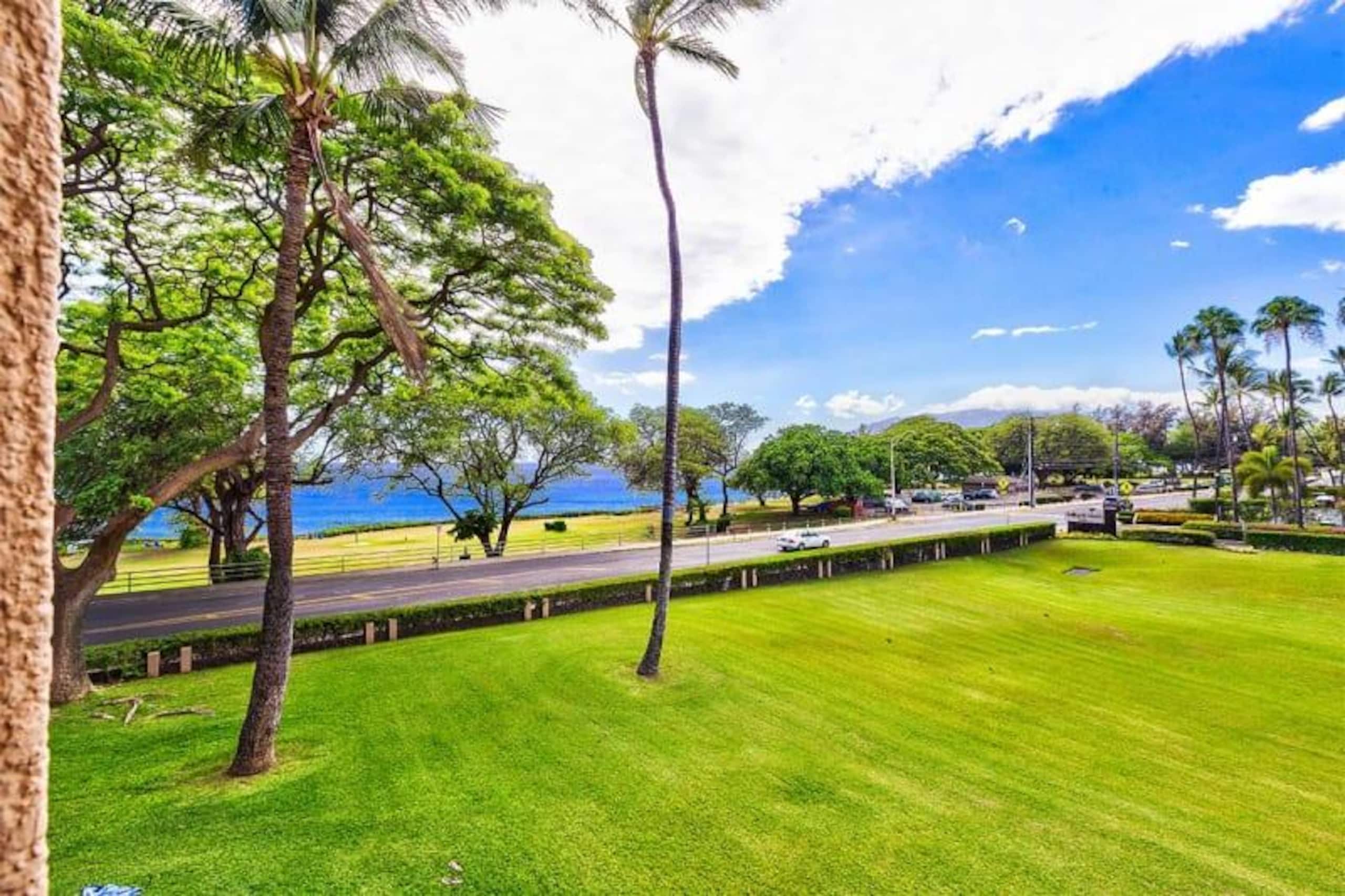 Condo in KIHEI · ★4.75 · Studio · No bathroom - Image 4