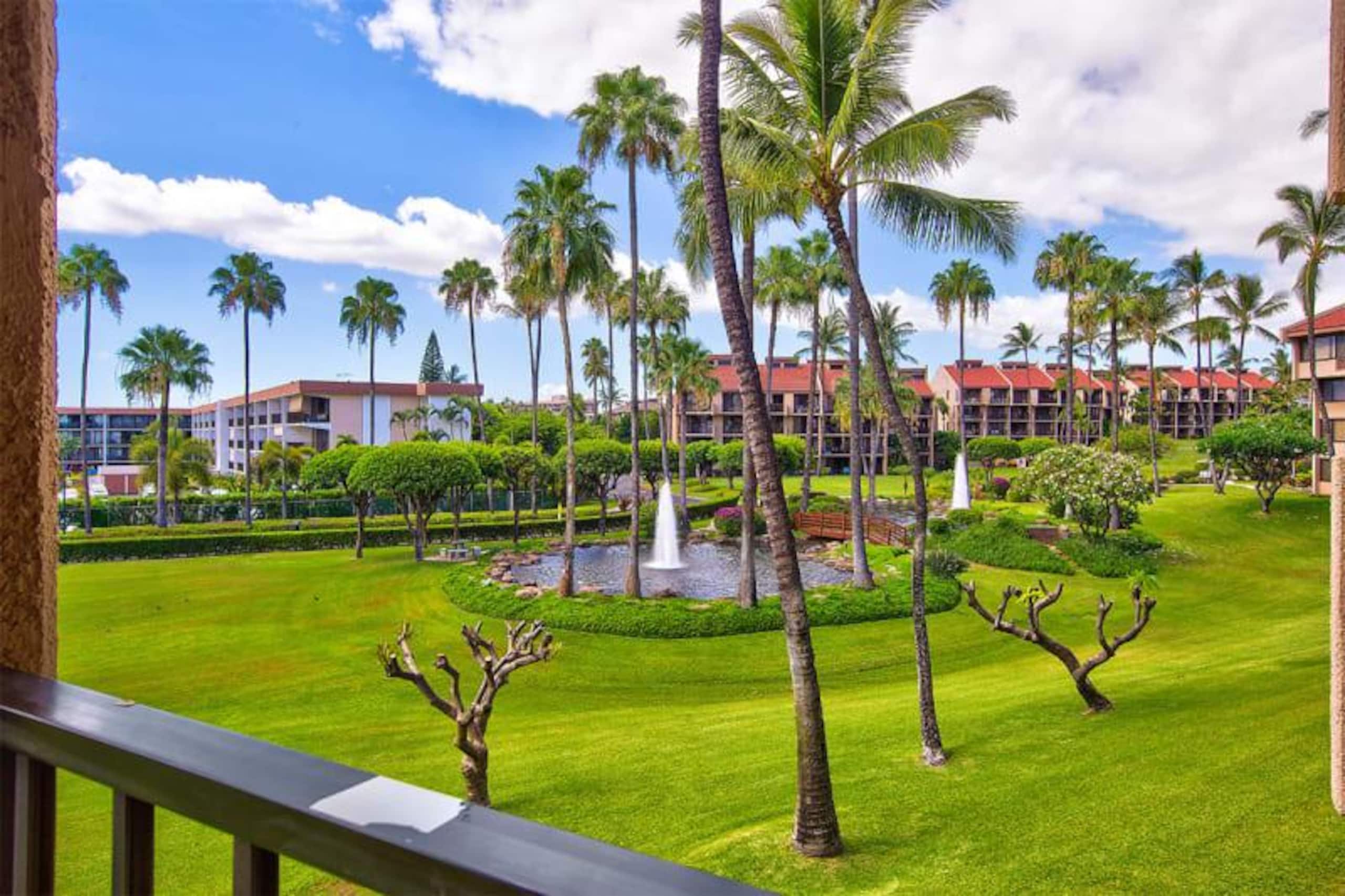 Condo in KIHEI · ★4.75 · Studio · No bathroom - Image 6