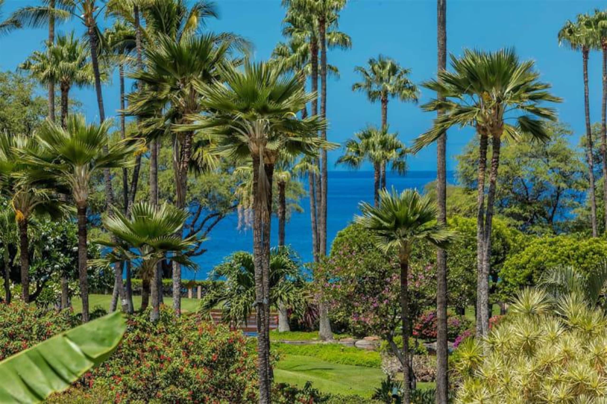 Condo in KIHEI · ★4.75 · Studio · No bathroom - Image 15