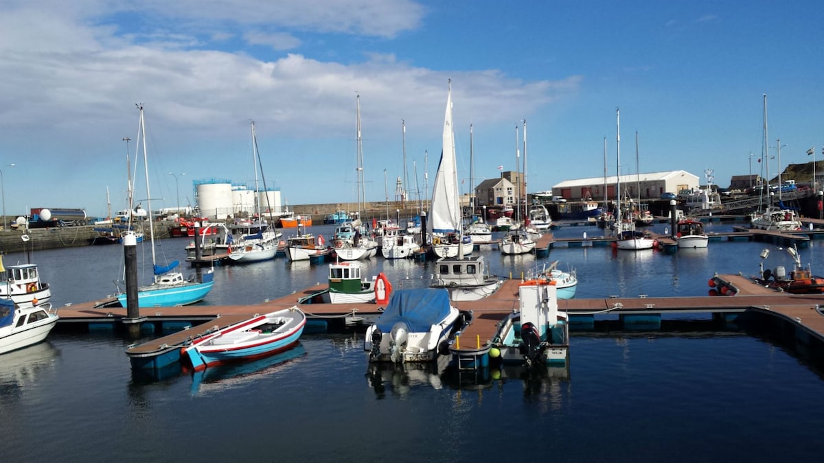 A serene marina scene features multiple boats moored in calm waters. A sailing boat is seen navigating through the harbor. The backdrop includes distant buildings and tall masts, while a clear blue sky with scattered clouds stretches overhead.