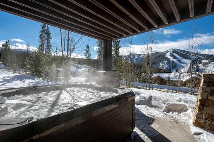 Winter Park Lodging Company managed Airbnb listing 3