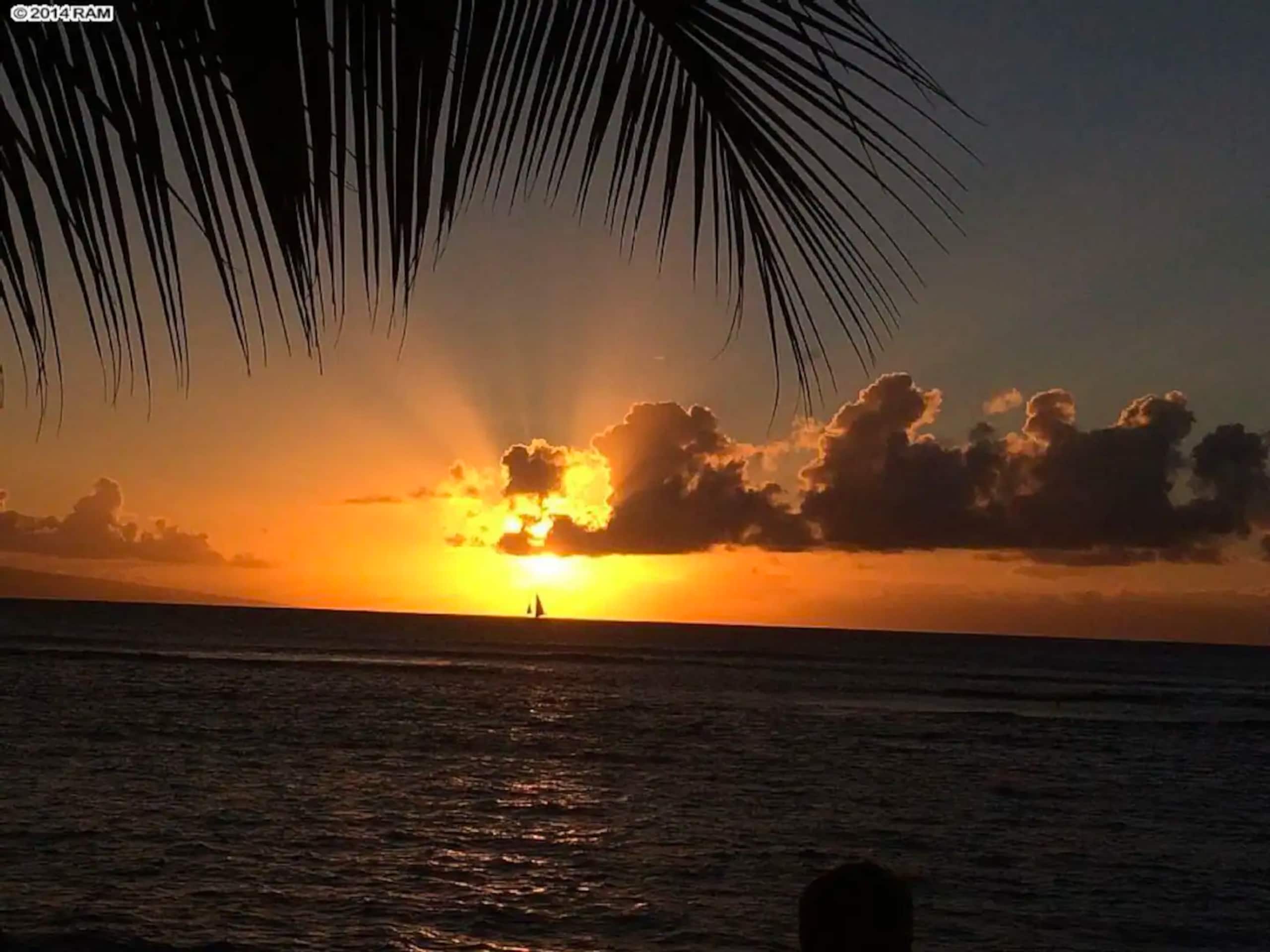 Condo in Lahaina · ★4.83 · 1 bedroom · 2 beds · 1 private bath - Image 24