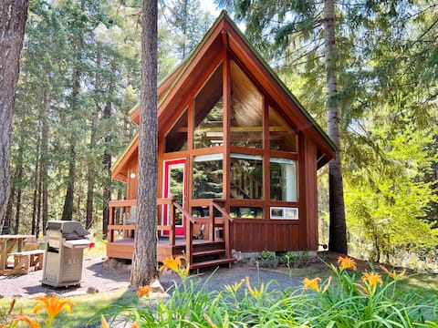 Cozy Cabin With Views of Majestic Mt. Adams
