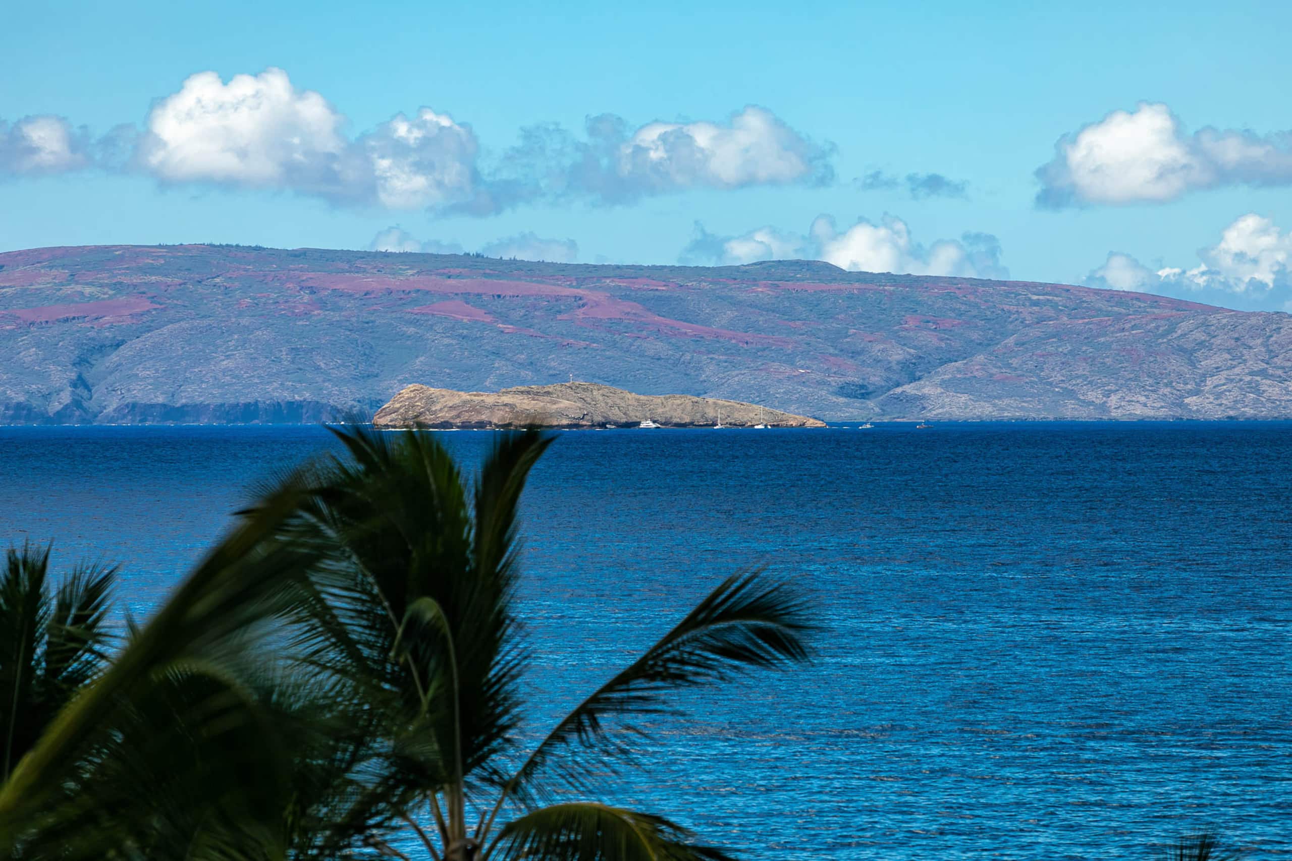 Condo in Kihei · ★5.0 · 2 bedrooms · 3 beds · 2 baths - Image 43