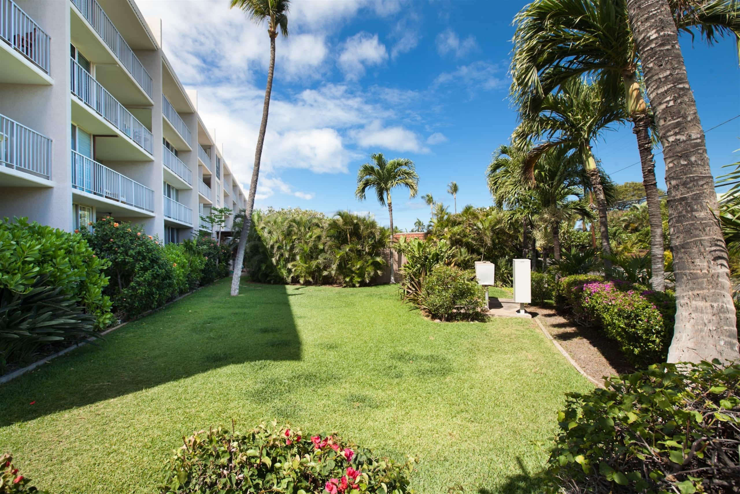 Condo in Waimea · ★4.75 · 3 bedrooms · 4 beds · 2 baths - Image 34