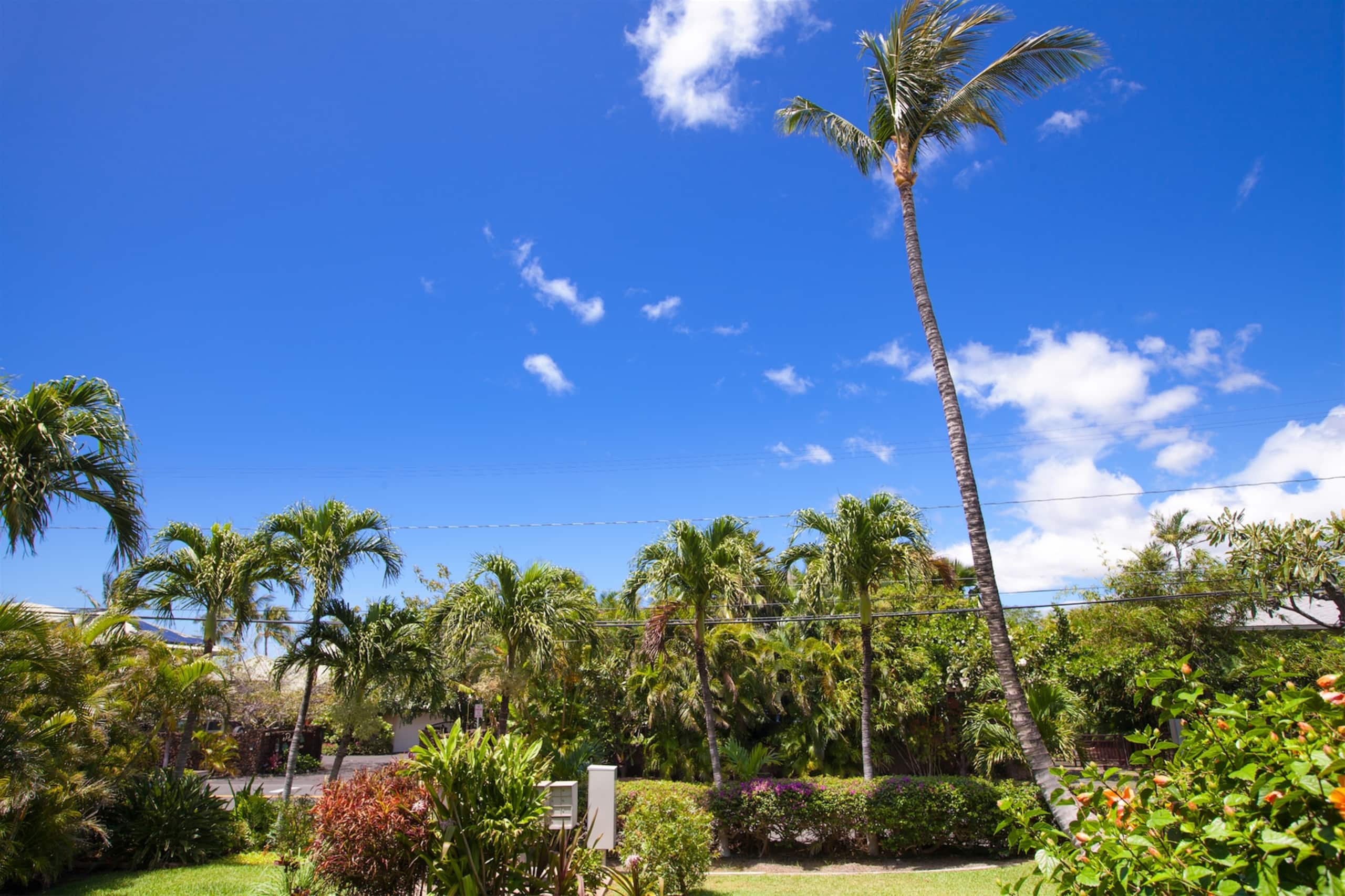 Condo in Waimea · ★4.75 · 3 bedrooms · 4 beds · 2 baths - Image 33