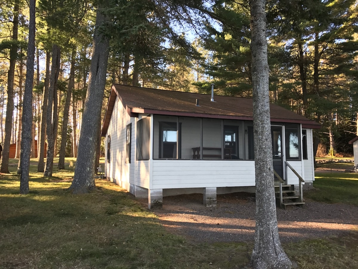A charming cabin is nestled among tall trees, featuring a covered porch with multiple windows that allow plenty of natural light. The structure is elevated slightly off the ground, with a simple staircase leading to the entrance.