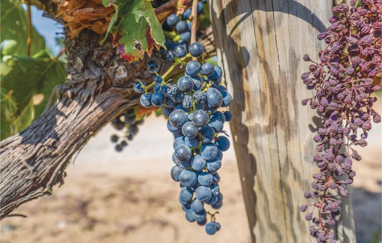 Casa Oliver gallery image 5