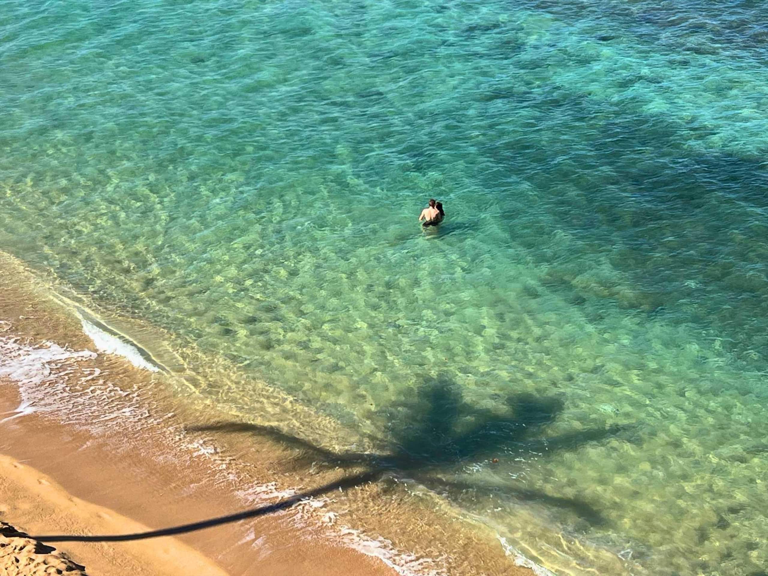 Kaanapali Shores 734 North Facing Ocean View - Image 33