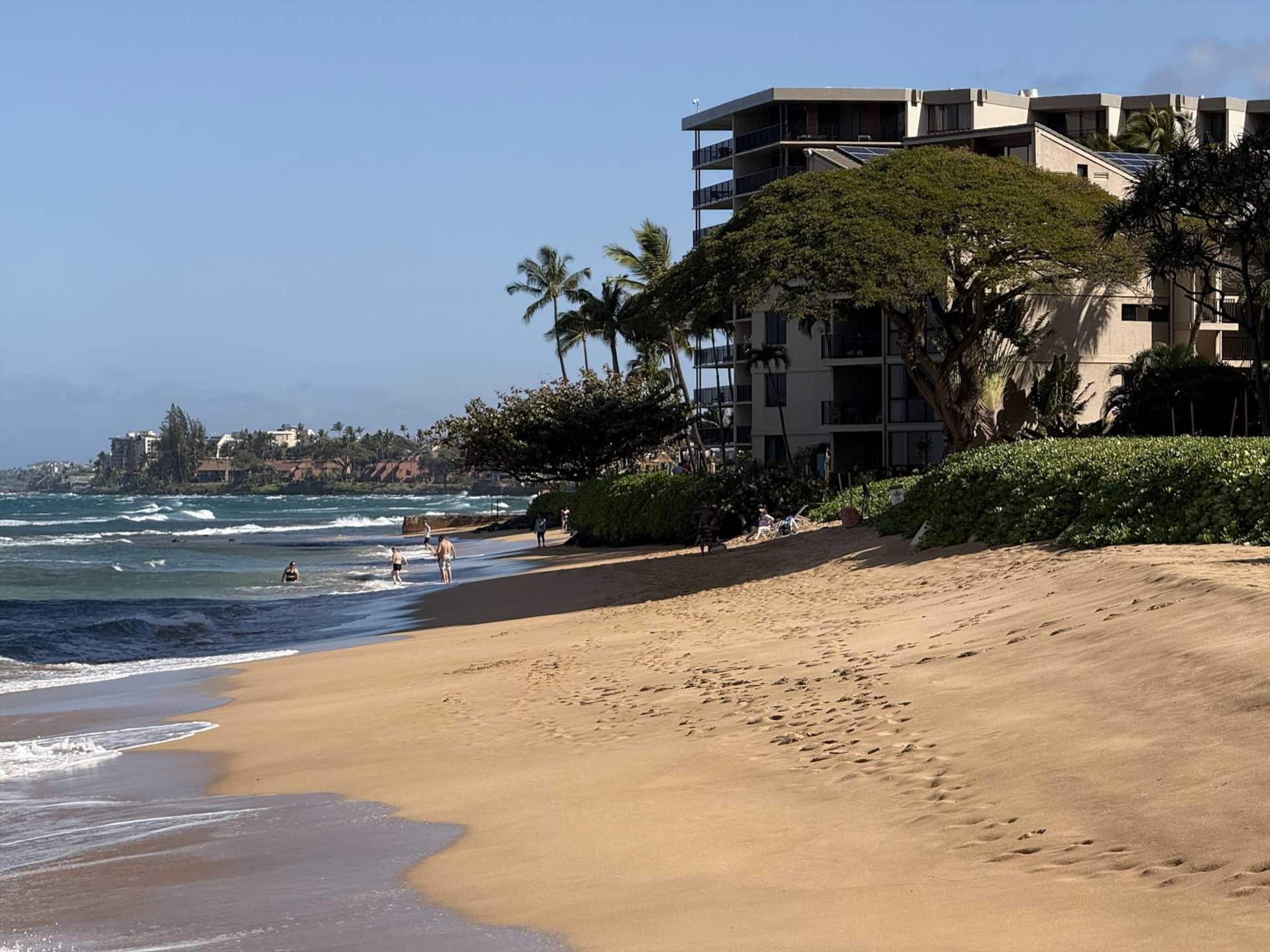 Kaanapali Shores 734 North Facing Ocean View - Image 34