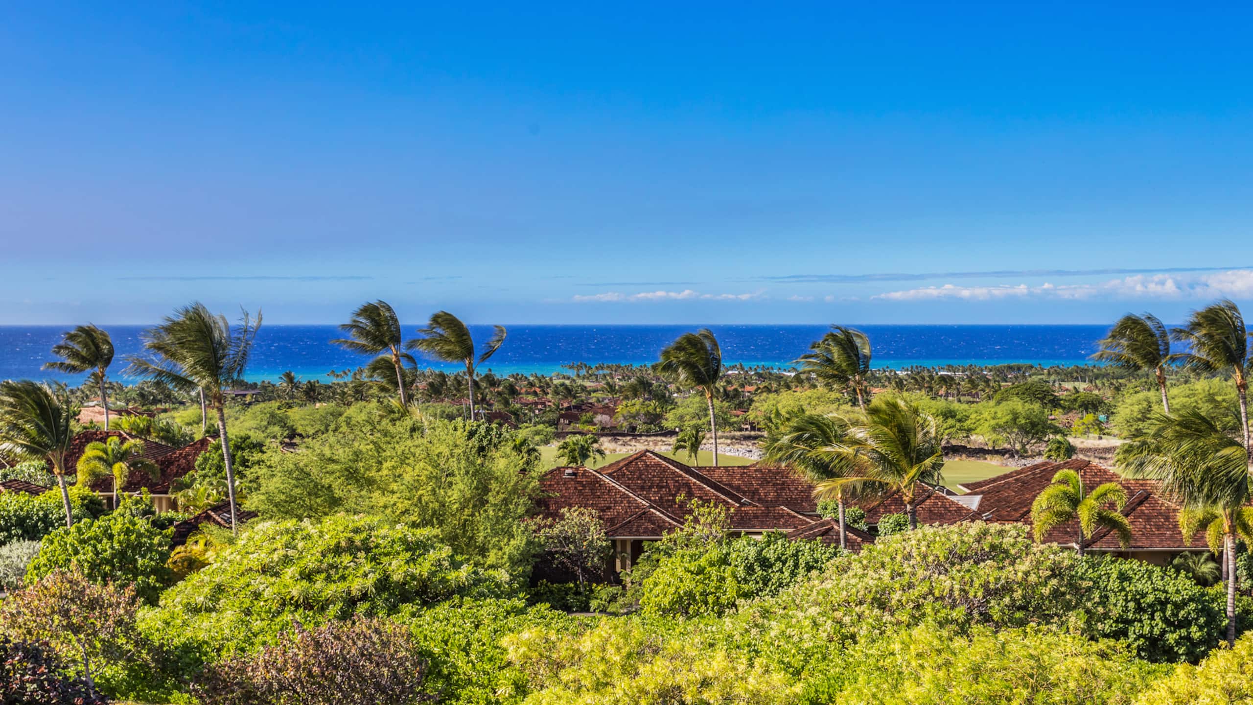 Villa in Kailua-Kona · ★5.0 · 2 bedrooms · 2 beds · 2 baths - Image 21