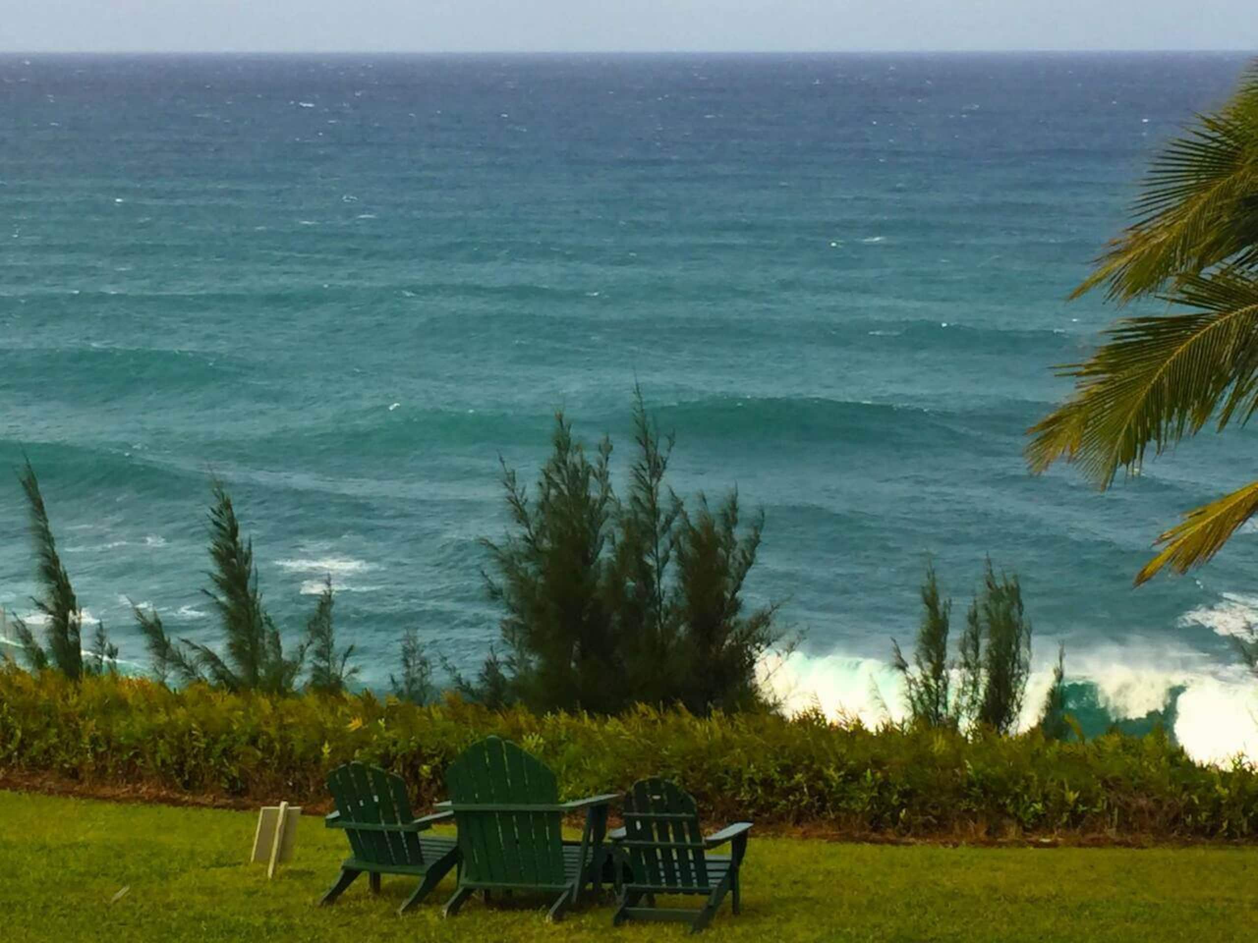 Where the Ocean Ends & the Bluff Begins - Photo 16