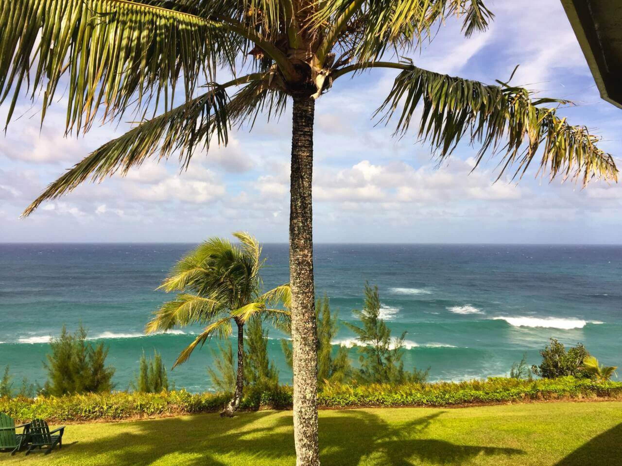 Where the Ocean Ends & the Bluff Begins - Photo 8