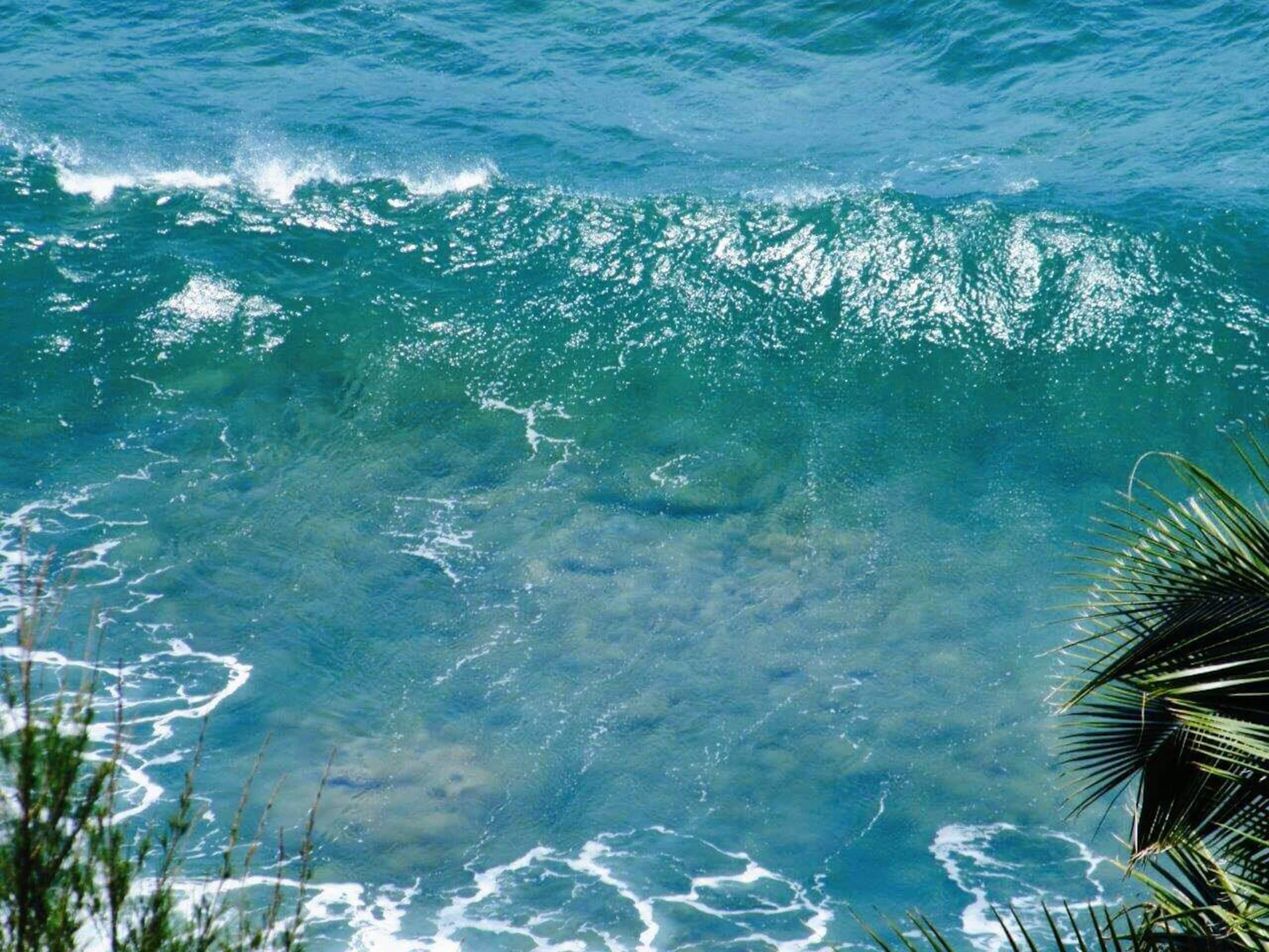 Where the Ocean Ends & the Bluff Begins - Photo 12