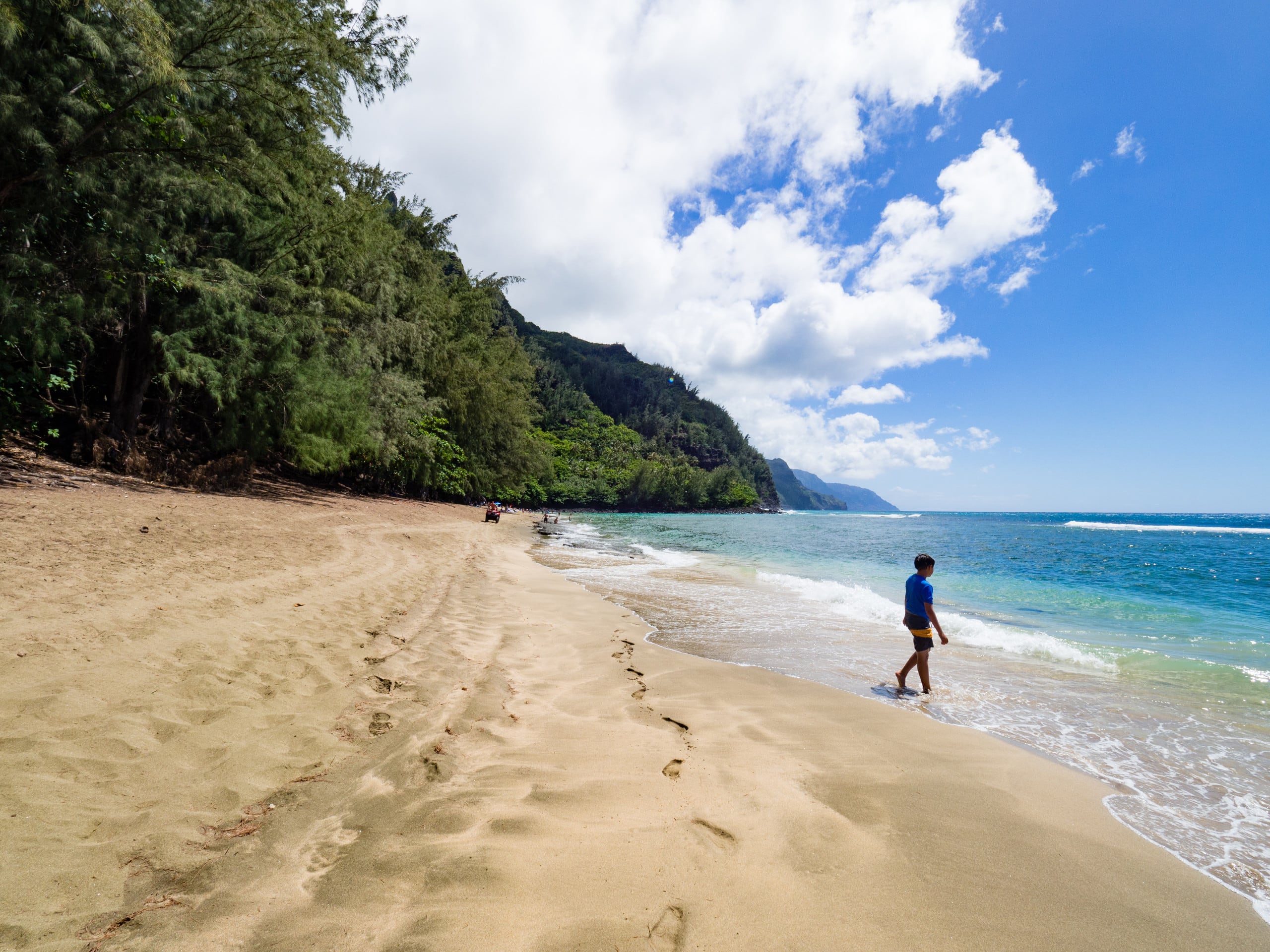 Home in Hanalei · ★4.96 · 5 bedrooms · 6 beds · 3 private baths - Image 4