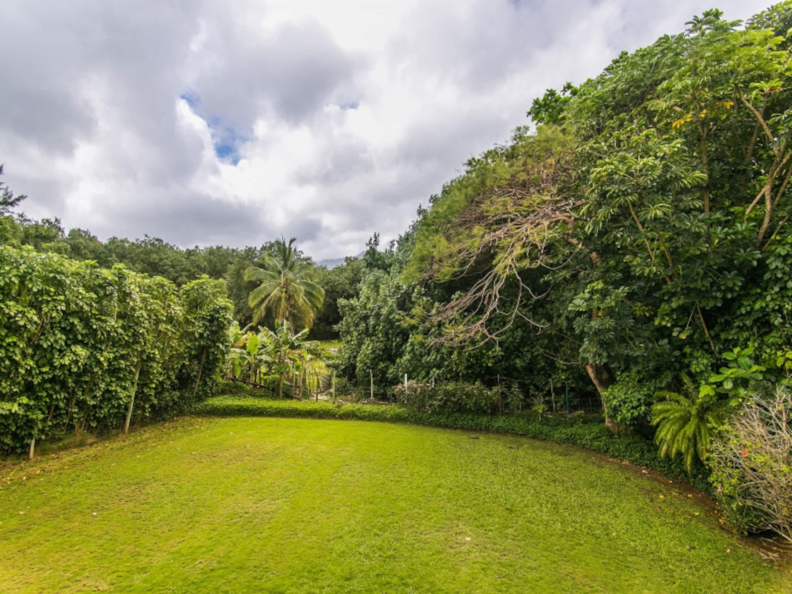 Home in Hanalei · ★4.96 · 5 bedrooms · 6 beds · 3 private baths - Image 8