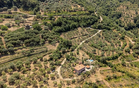 Awesome home in S.Mauro Cilento -SA-