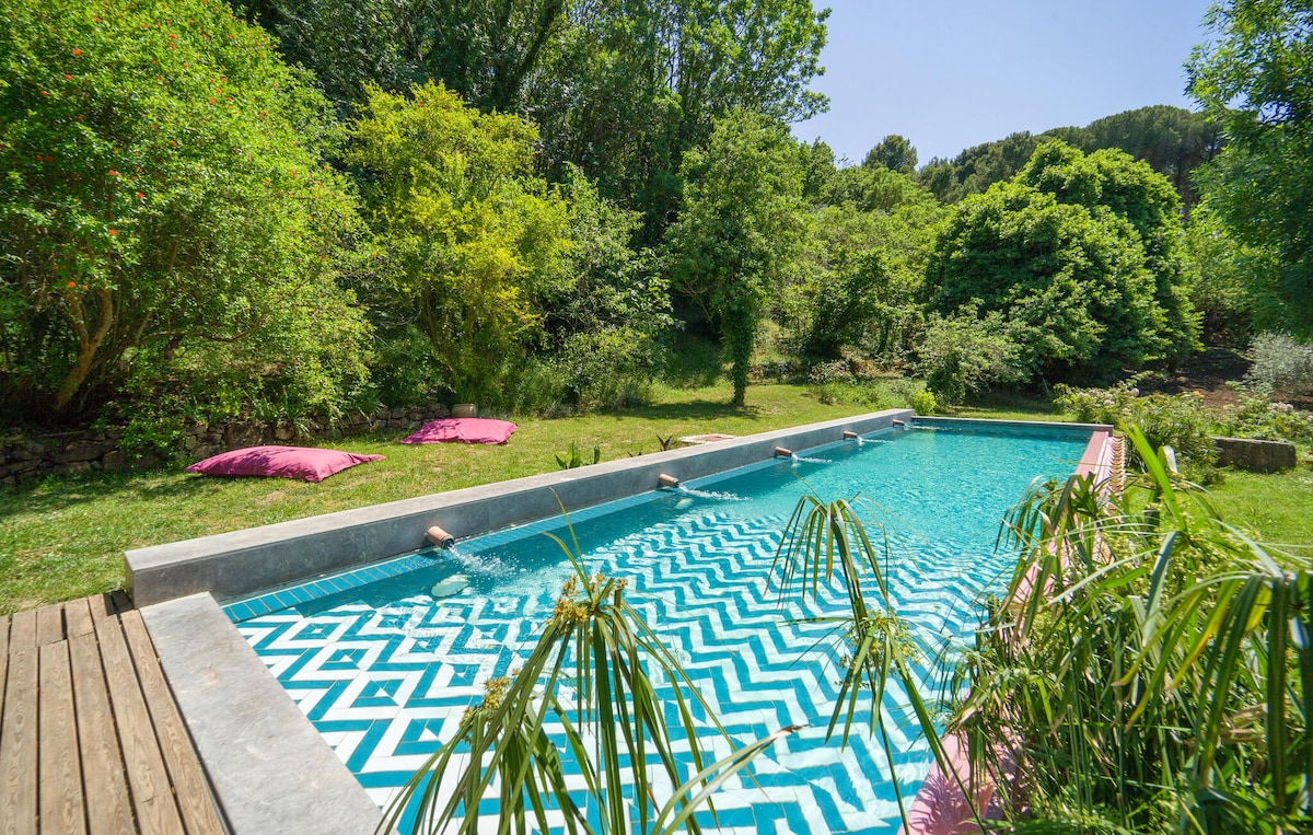 A communal outdoor pool is surrounded by lush green vegetation, featuring a distinctive patterned tile design. Vibrant pink cushions are placed nearby on the lawn, providing spots for relaxation. Sunlight enhances the clarity of the water, creating a serene atmosphere.