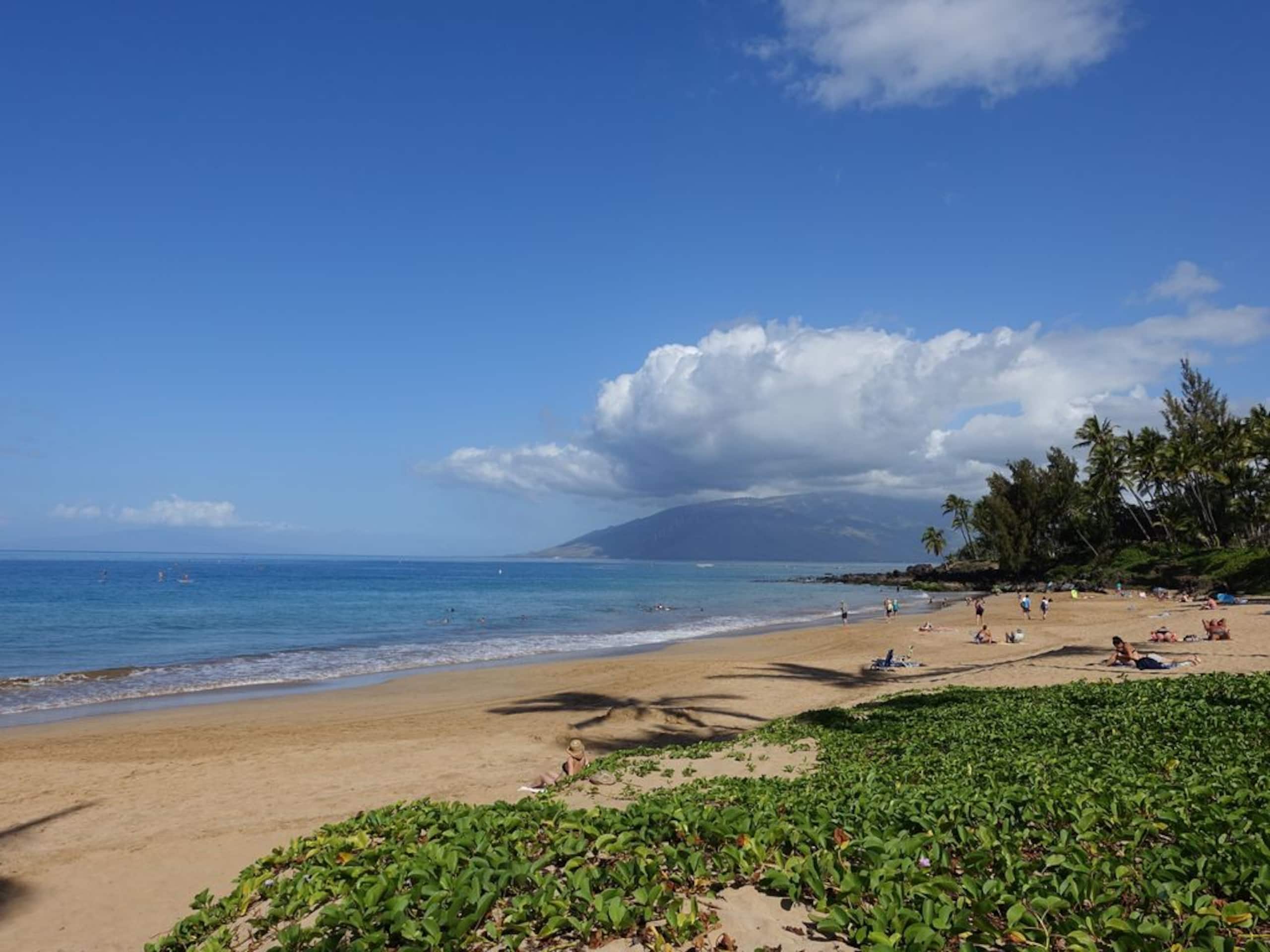 Home in Kihei · ★4.98 · 4 bedrooms · 4 beds · 2 private baths - Image 48