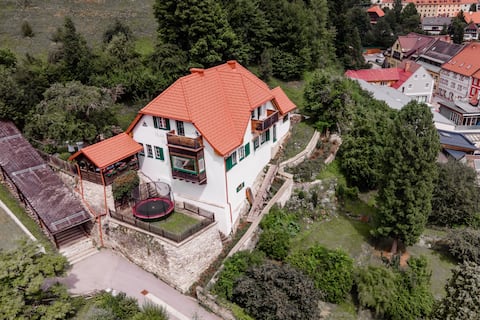 Chalet Elsa Murau Austria