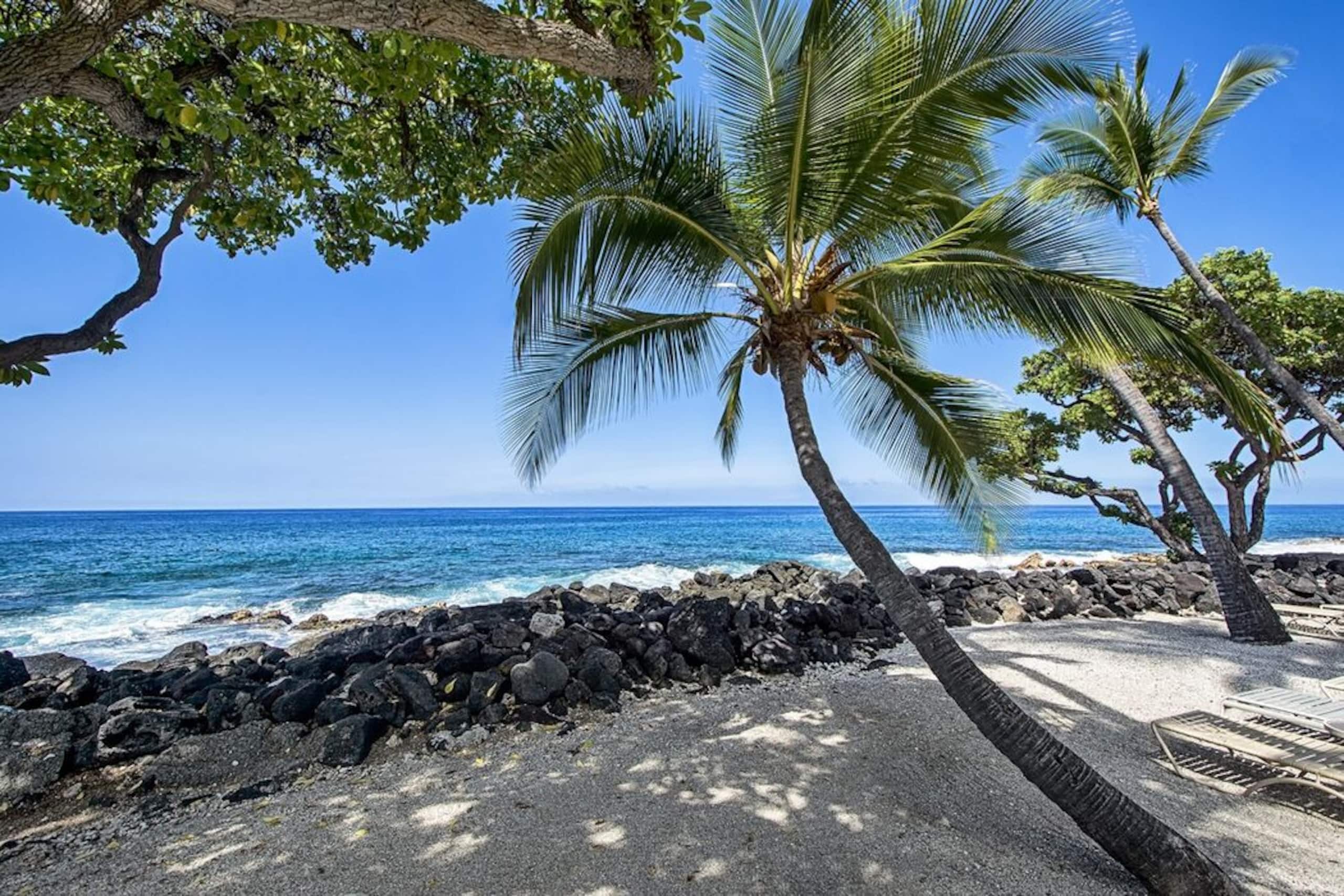 Condo in Kailua-Kona · ★5.0 · 1 bedroom · 2 beds · 1 private bath - Image 32