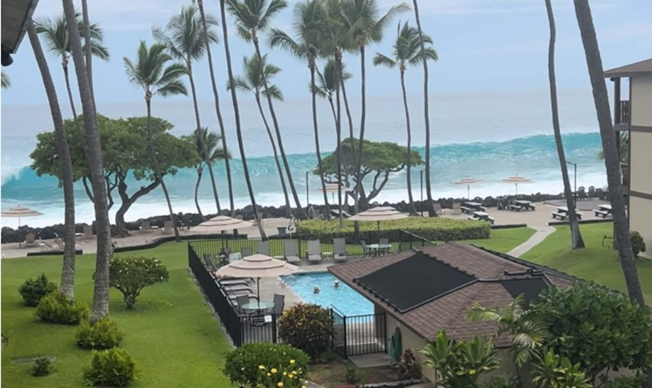 Condo in Kailua-Kona · ★5.0 · 1 bedroom · 2 beds · 1 private bath - Image 21